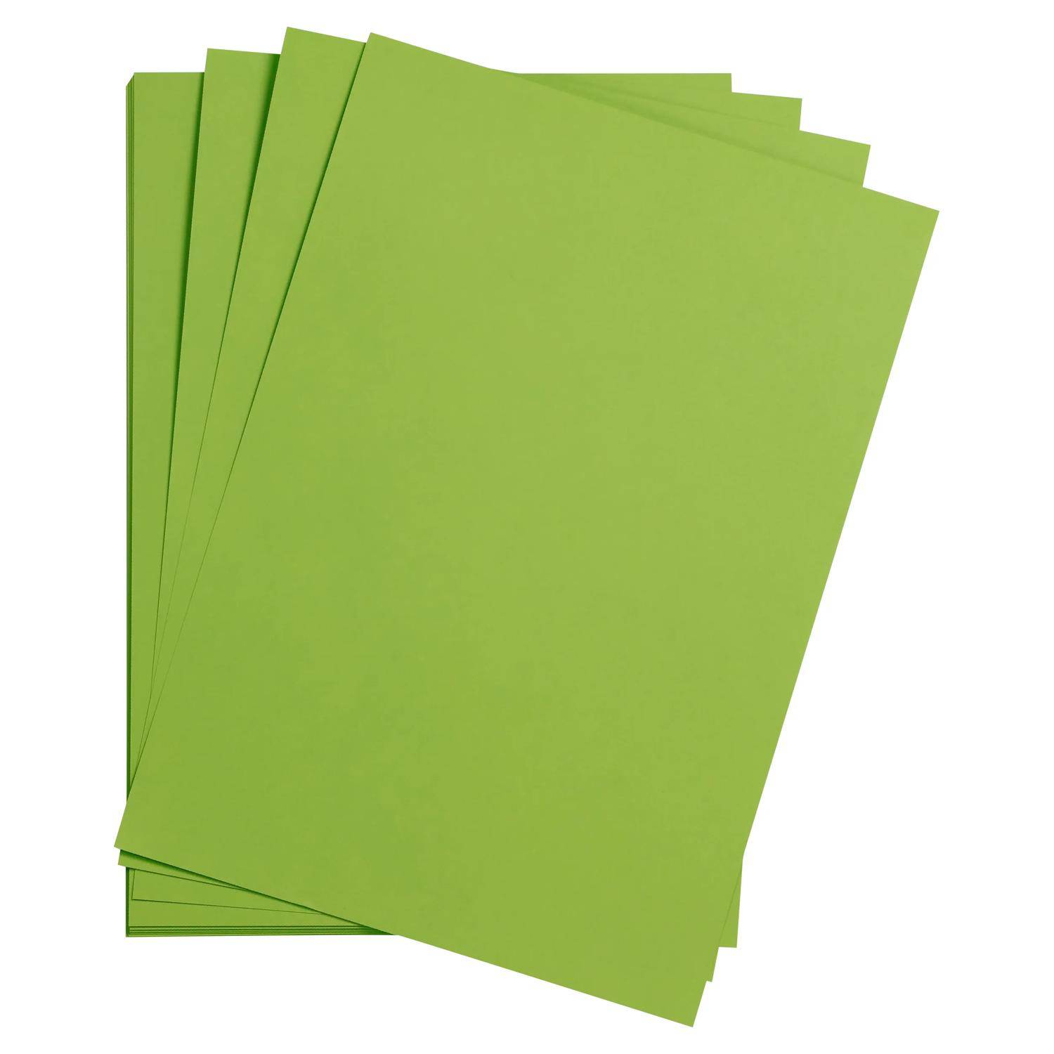 Clairefontaine Maya Fotokarton 50x70cm 270g 125 Bogen - Moosgrün 397252C
