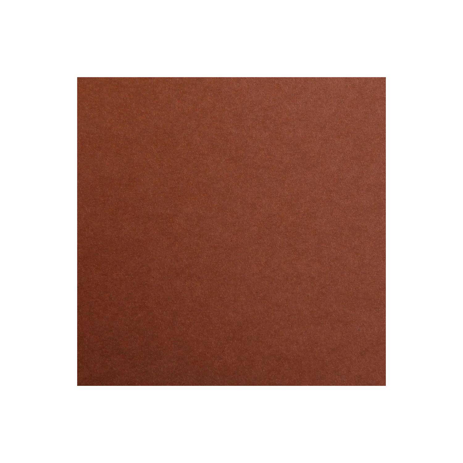 Clairefontaine Maya Fotokarton 50x70cm 270g 125 Bogen - Braun| 397261C