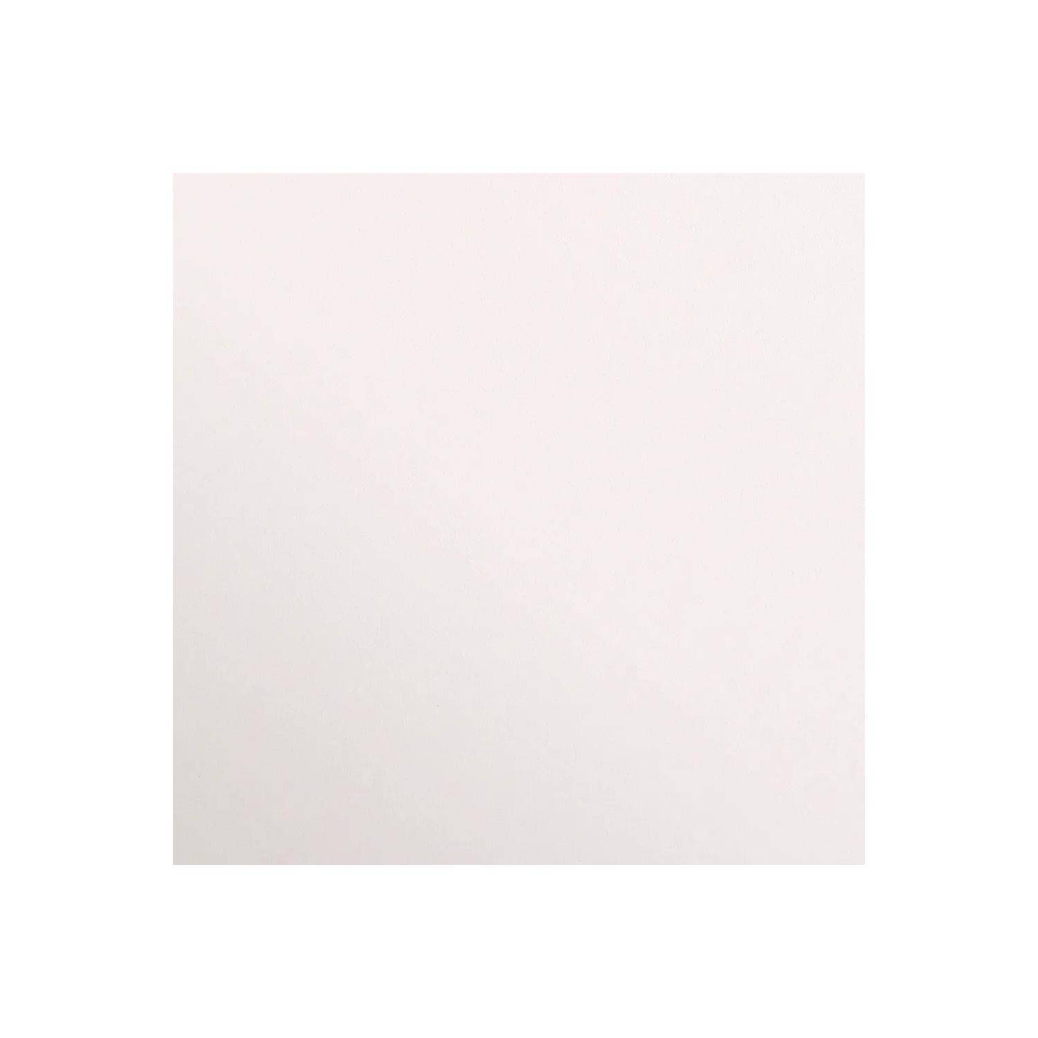 Clairefontaine Maya Fotokarton 50x70cm 270g 125 Bogen - Elfenbein 397275C