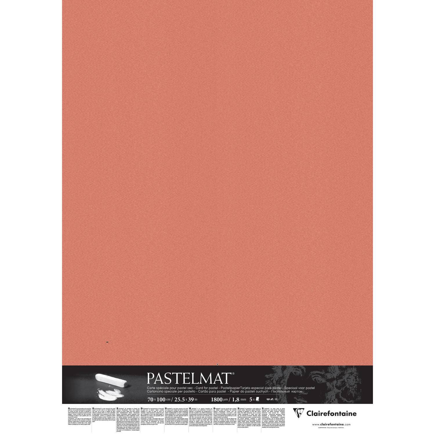 Clairefontaine Papier für Pastellmalerei, 5 Bogen 70x100 cm 1,8mm, 1100g 396064C
