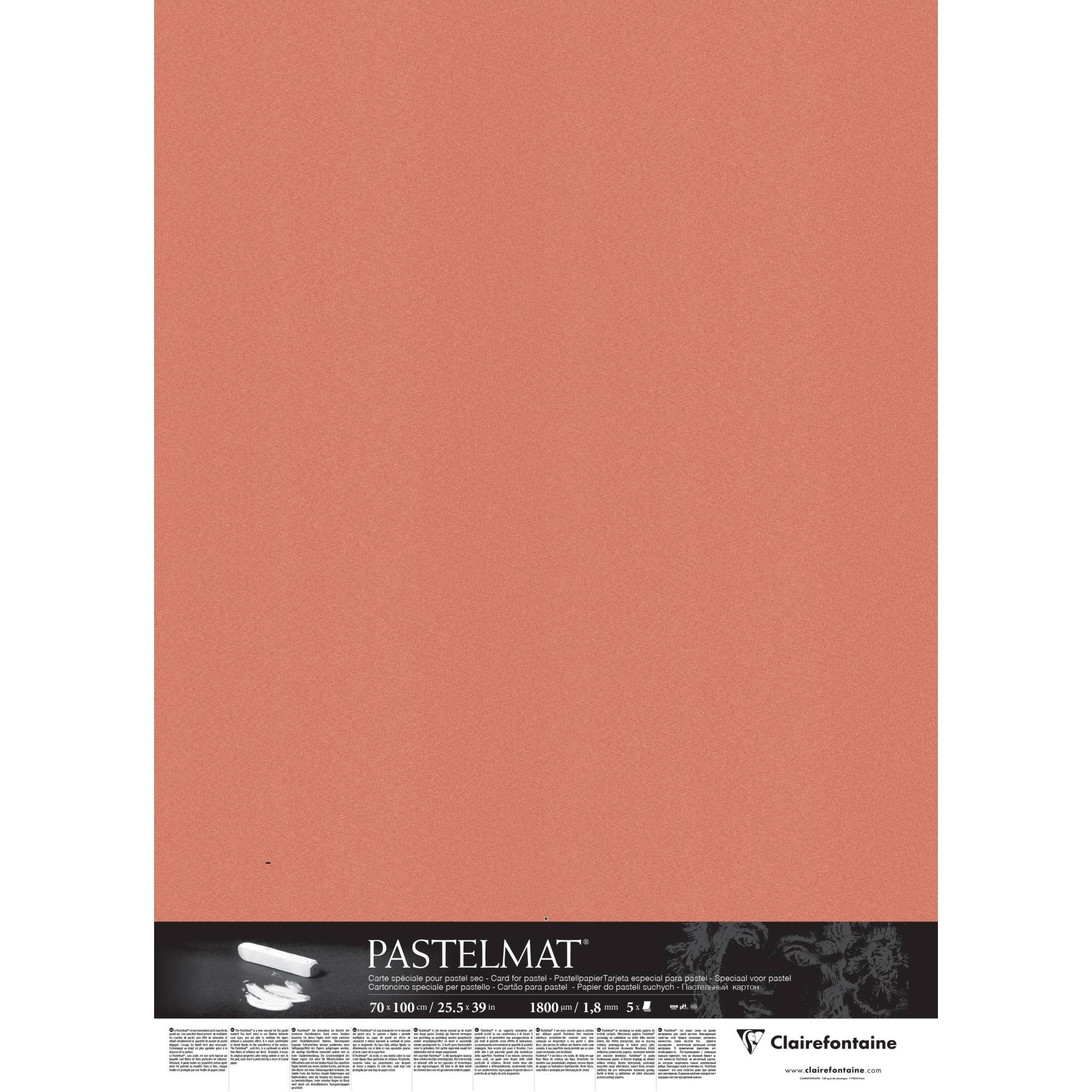 Clairefontaine Papier für Pastellmalerei, 5 Bogen 70x100 cm 1,8mm, 1100g 396064C