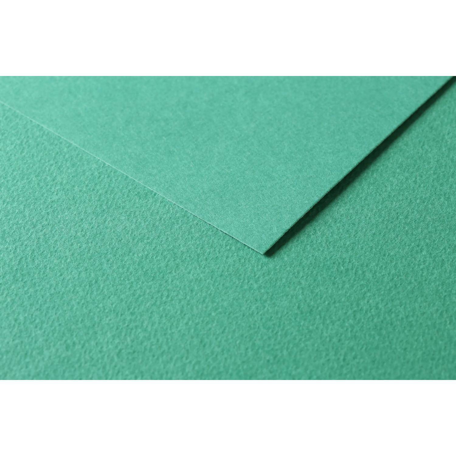 Clairefontaine Zeichenpapier Tulipe 50x65 cm, Packung 50 Bl Dunkelgrün 960278C