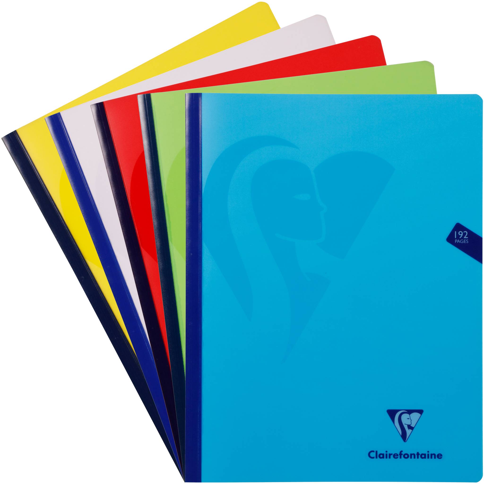 Clairefontaine 5x Notizbuch Mimesys 24x32cm, 96 Blatt kariert Sortiert 309342C