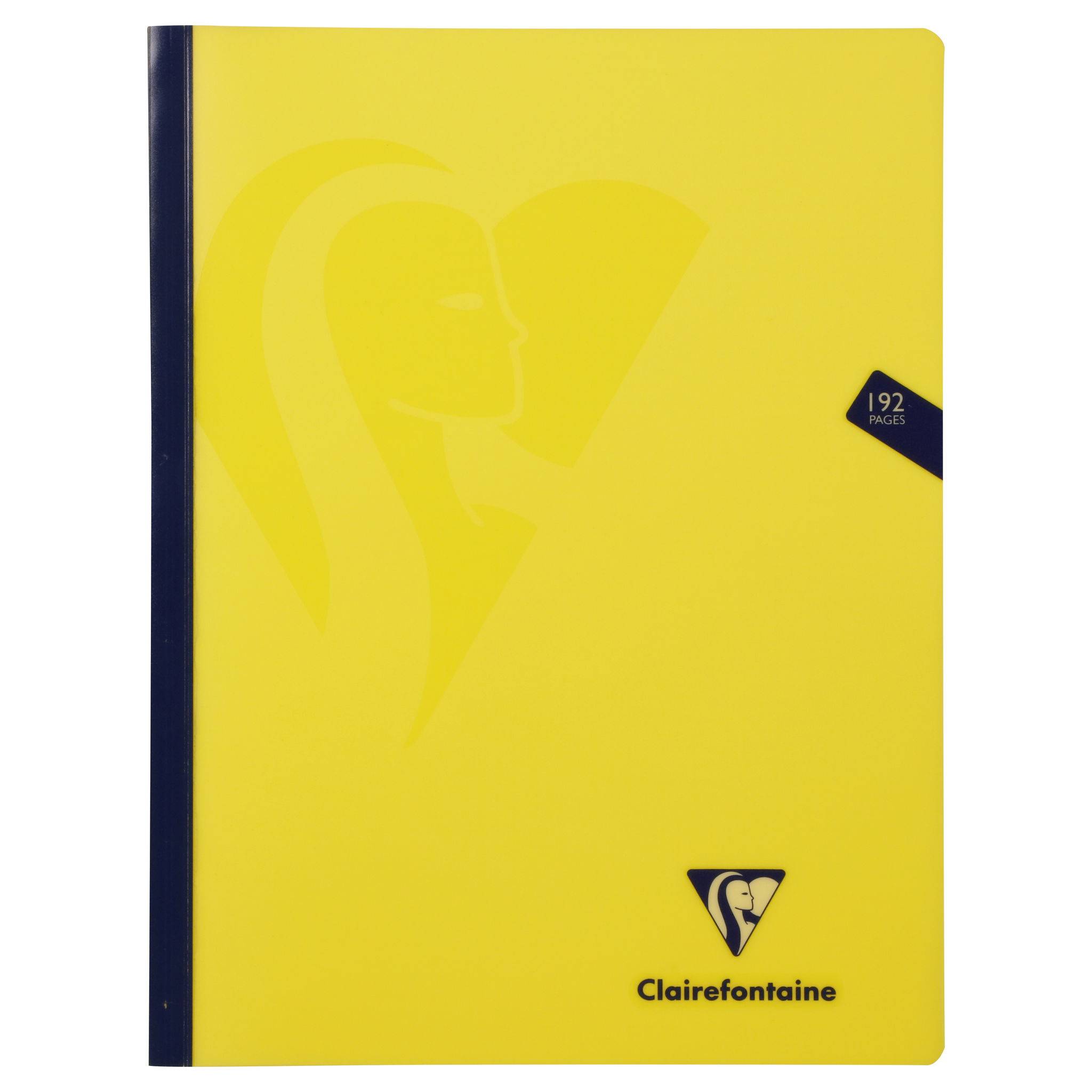 Clairefontaine 5x Notizbuch Mimesys 24x32cm, 96 Blatt kariert Sortiert 309342C