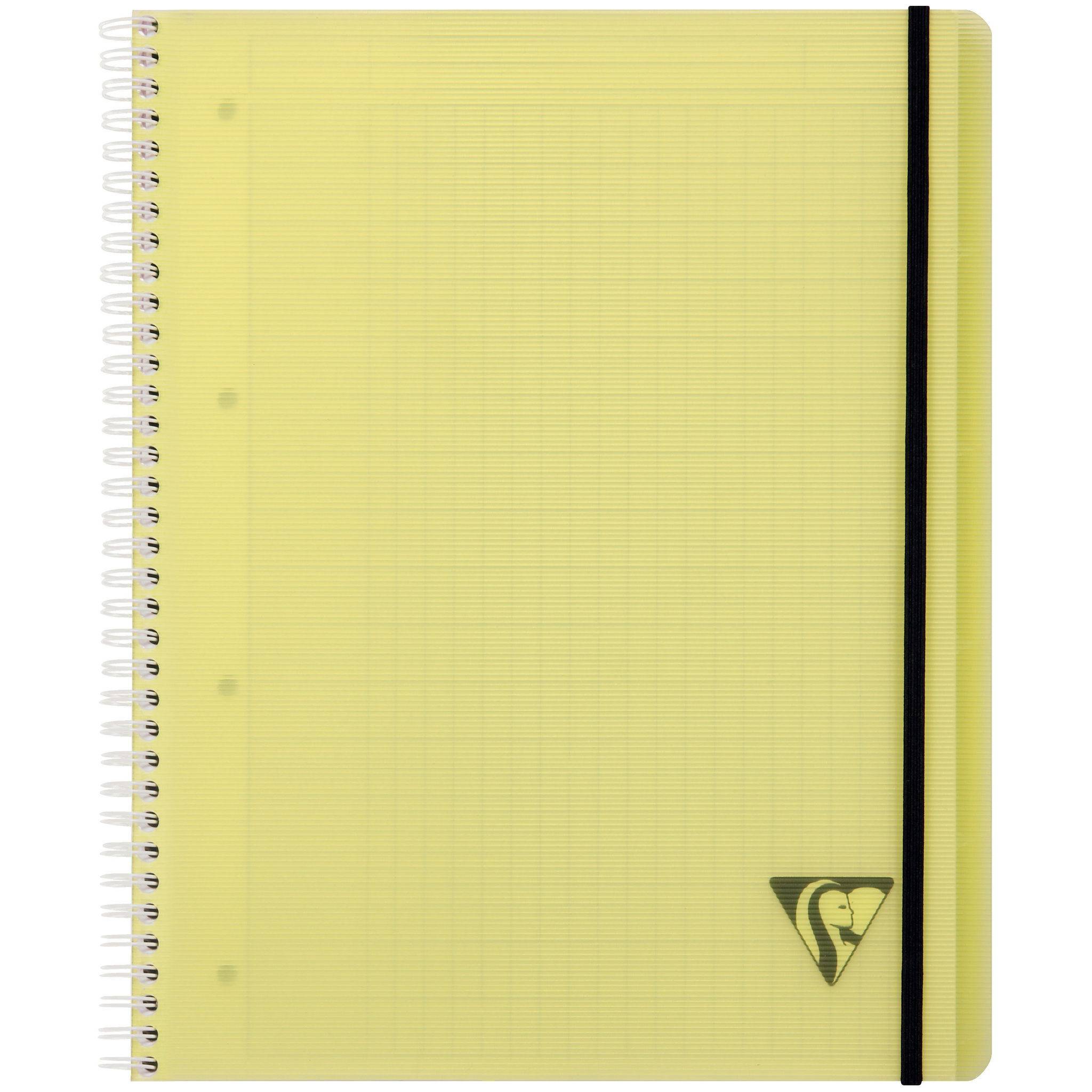 Clairefontaine 5x PROACTIV'BooK A4+ 80Bl FR-Lin+Kopfl - Sortiert 328171C