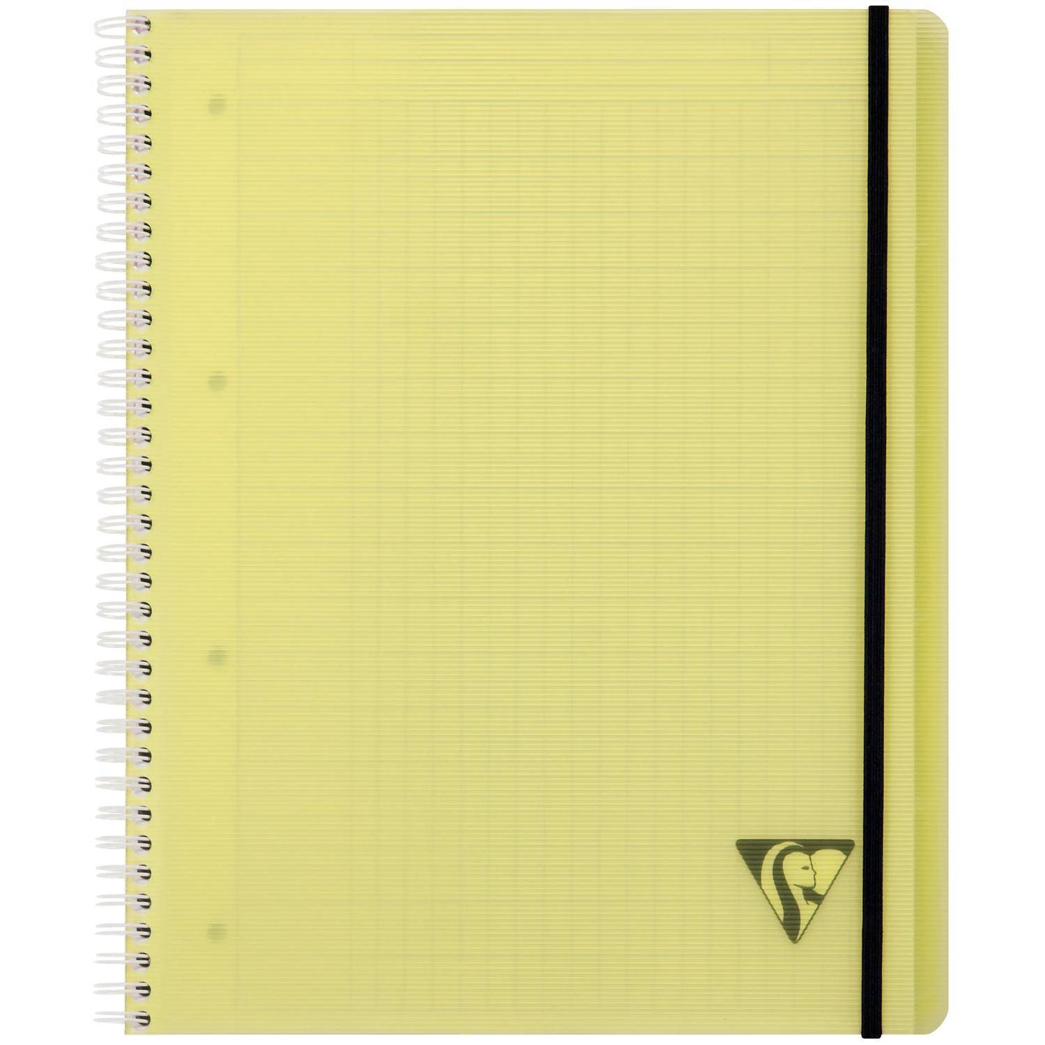 Clairefontaine 5x PROACTIV'BooK A4+ 80Bl FR-Lin+Kopfl - Sortiert 328171C