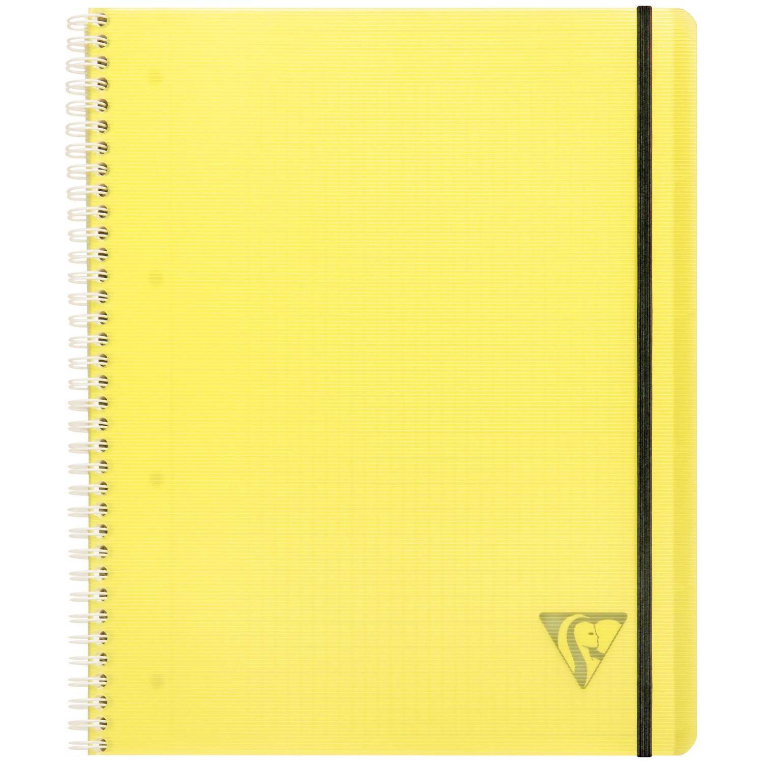 Clairefontaine 5x FRESH PROACTIV'Buch 22,5x29,7cm 80 Bl kariert sortiert 328175C