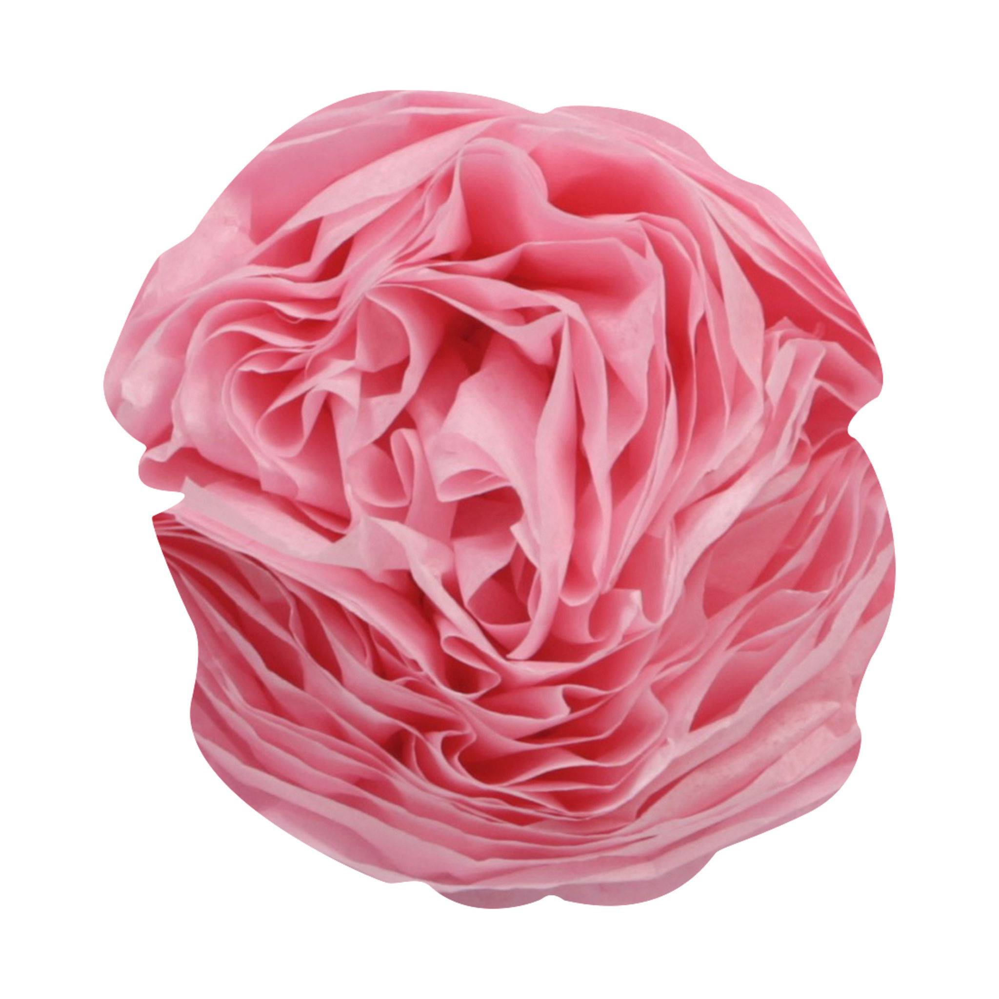 Clairefontaine 5x Seidenpapier Rolle24 Bogen 18g/m2 50x75cm Mittelrosa 394060C