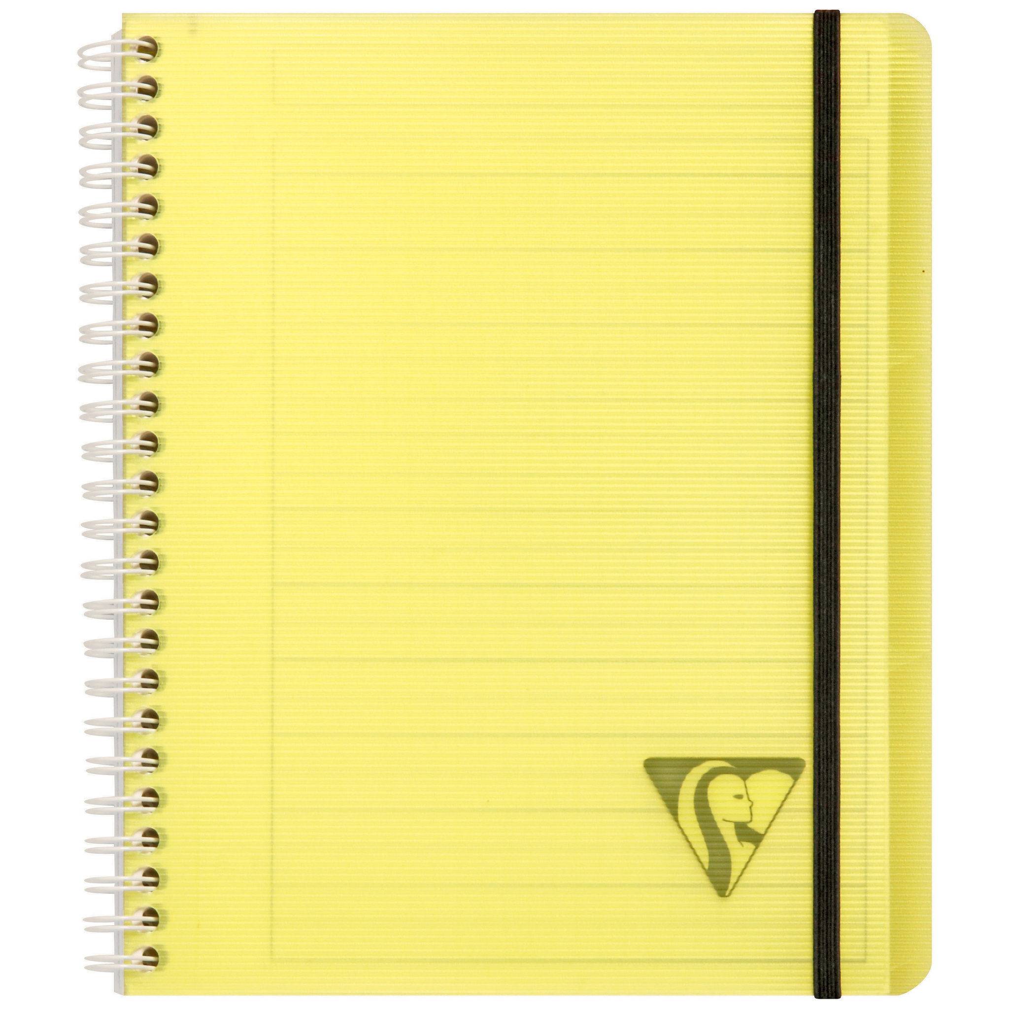 Clairefontaine 5x PROACTIV'BOOK 16x21cm 80 Blatt liniert sortiert 328776C