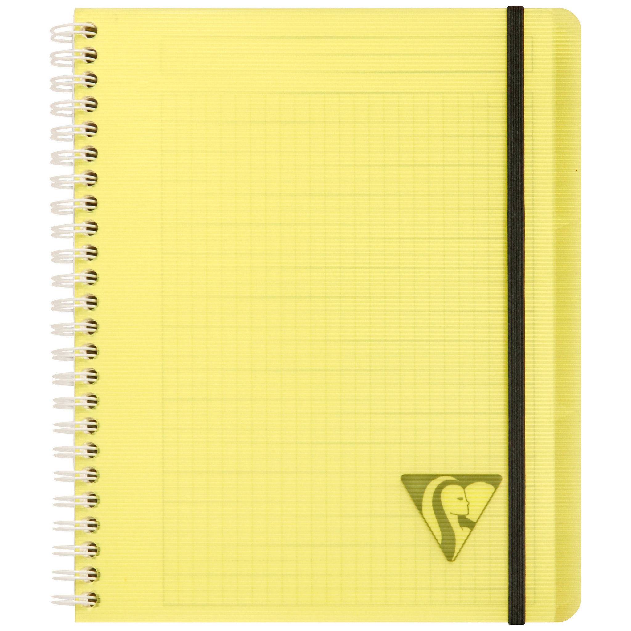Clairefontaine 5x PROACTIV'BOOK 16x21cm 80 Blatt kariert sortiert 328775C