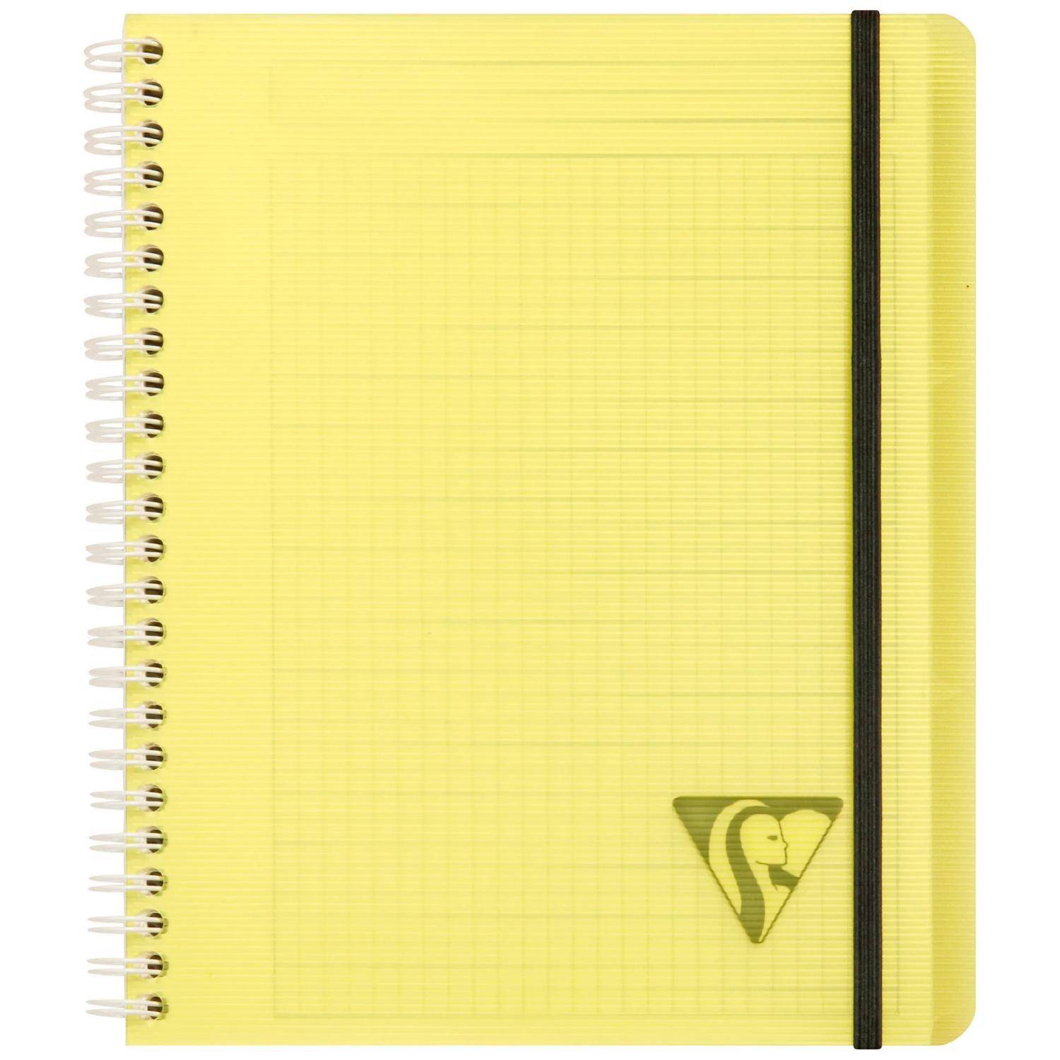 Clairefontaine 5x PROACTIV'BOOK 16x21cm 80 Blatt kariert sortiert 328775C