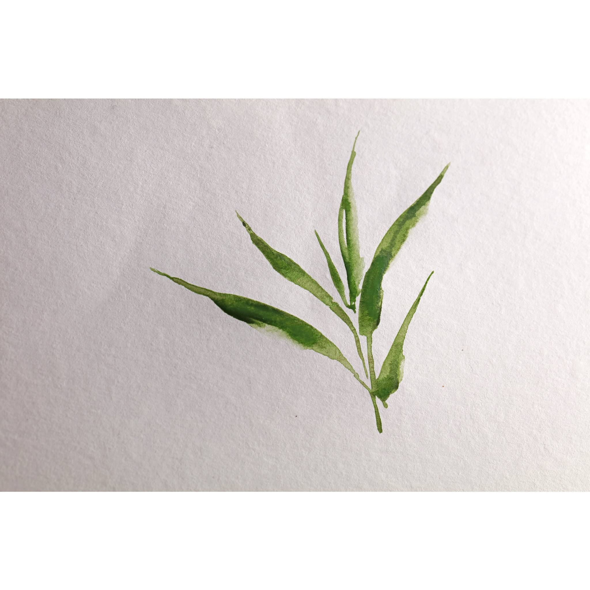 Clairefontaine Bamboo, Rolle Bambuspapier, 1,30x5 m, 250g 975935C