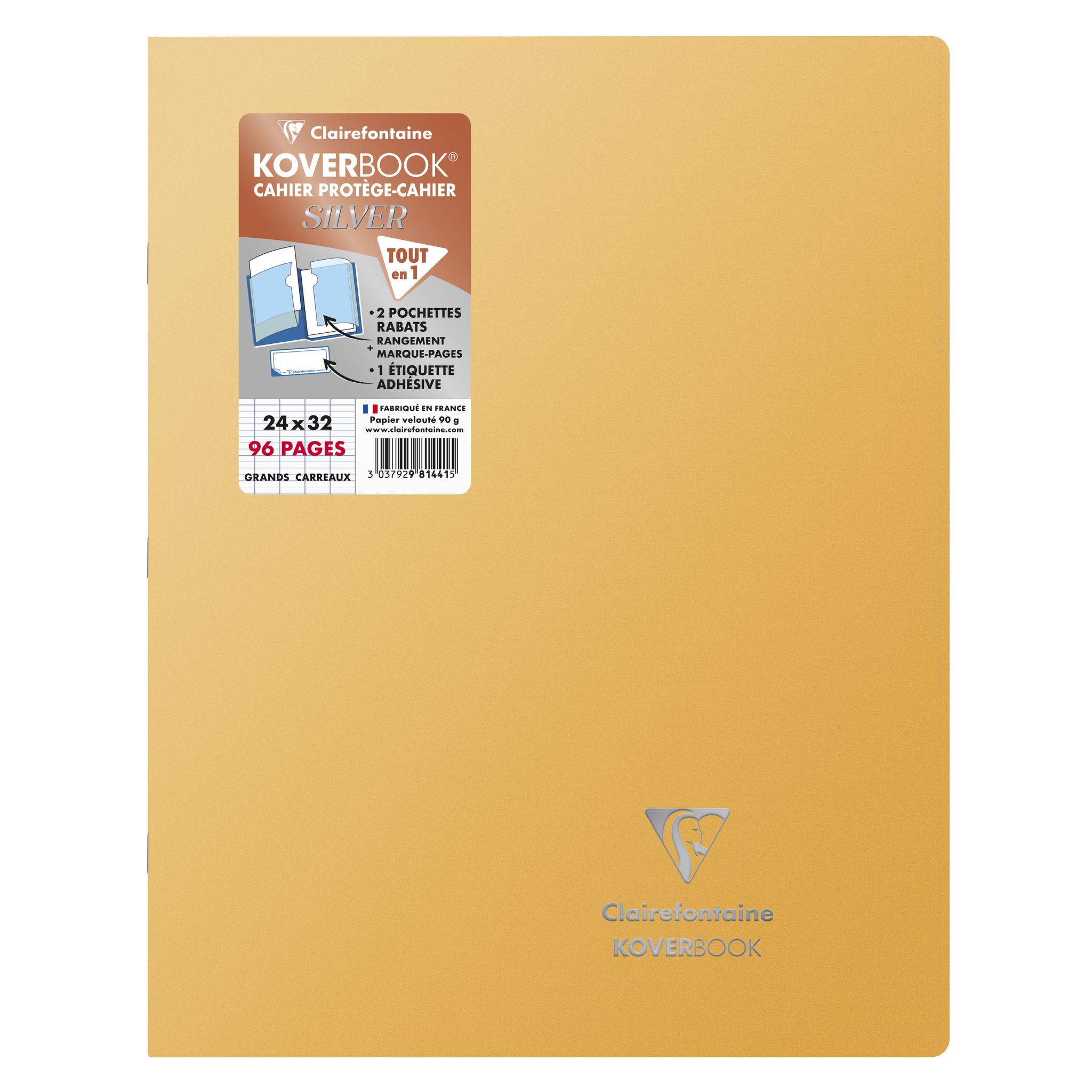 Clairefontaine Koverbook Silver 24x32 80 Blatt FR sortiert 981441C