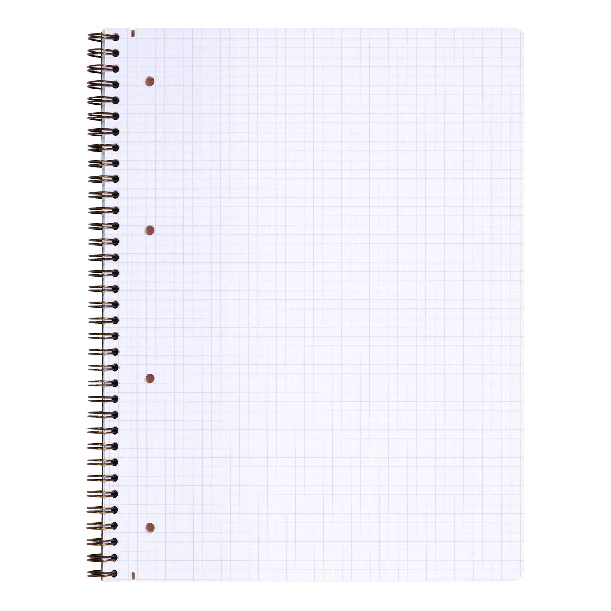 Clairefontaine 5x Age Bag Collegeblock A4+ 80 Blatt kar. Tabak 78252C