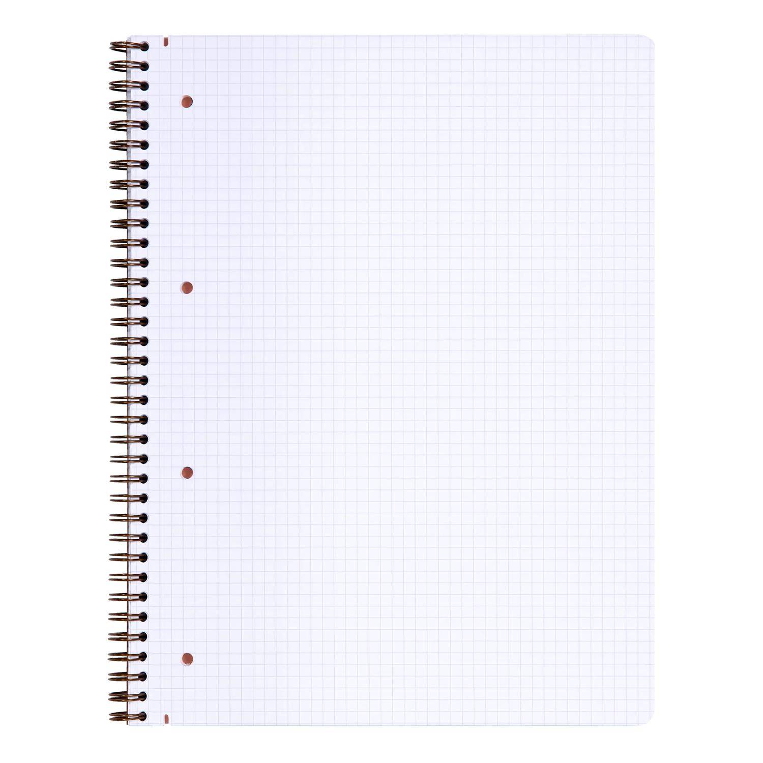 Clairefontaine 5x Age Bag Collegeblock A4+ 80 Blatt kar. Tabak 78252C