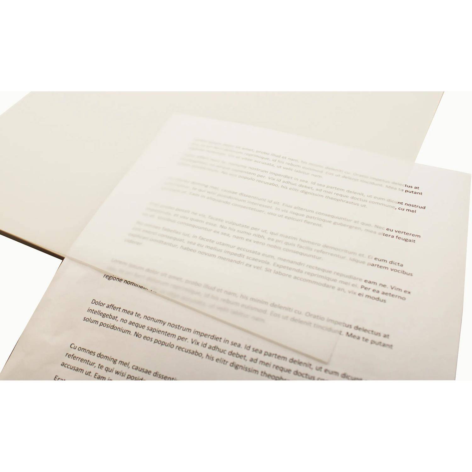 Clairefontaine 5x Goldline Transparentpapier, geleimt, 50 Bl A3 112g GPT3A3Z