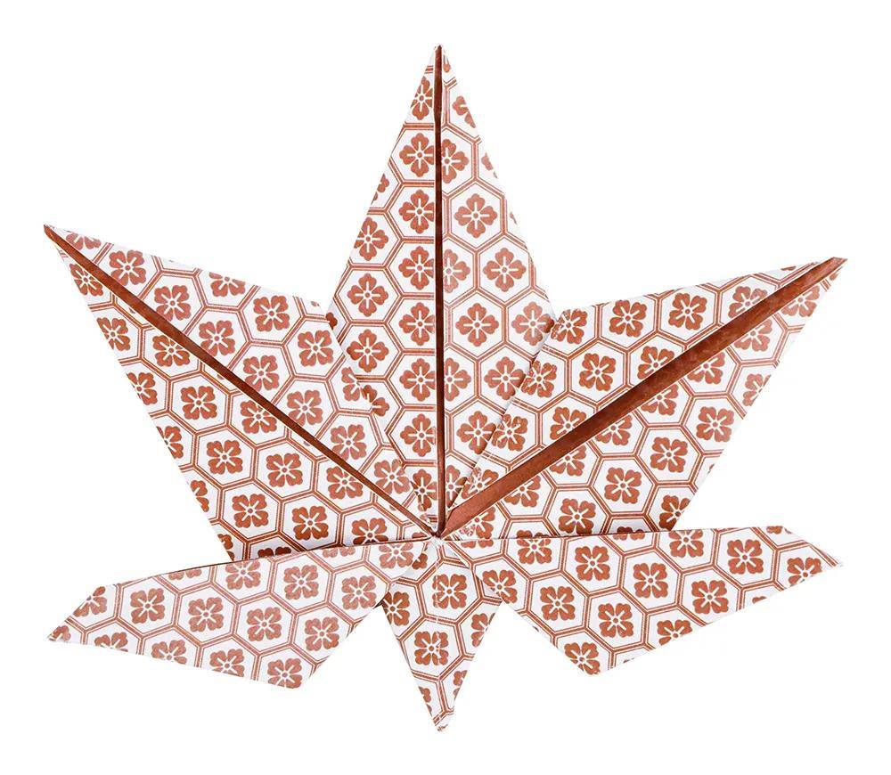 Clairefontaine 5x Origami Papiere 60 Blatt, 30 Motive Herbst - 95636C