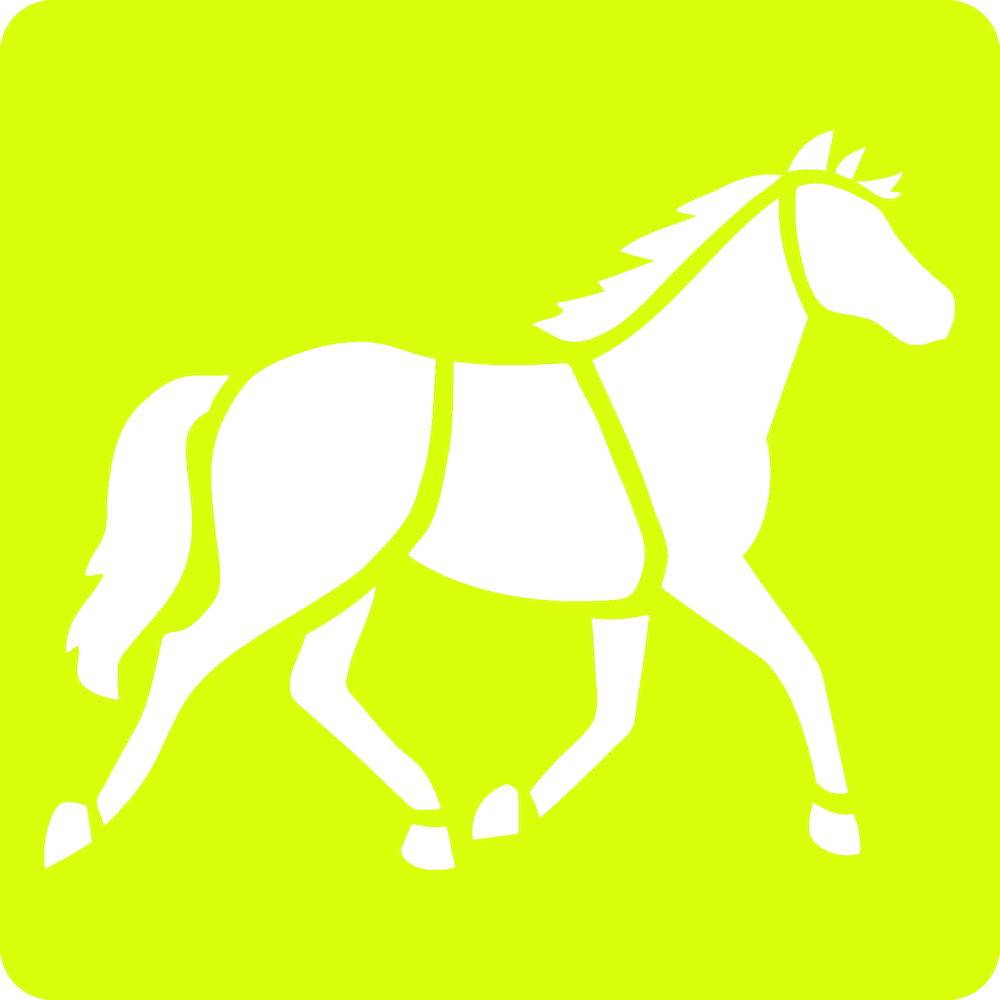 Avenue Mandarine 3x 6-teiliges Schablonenset für Kinder, Pferde - Orange 42644O