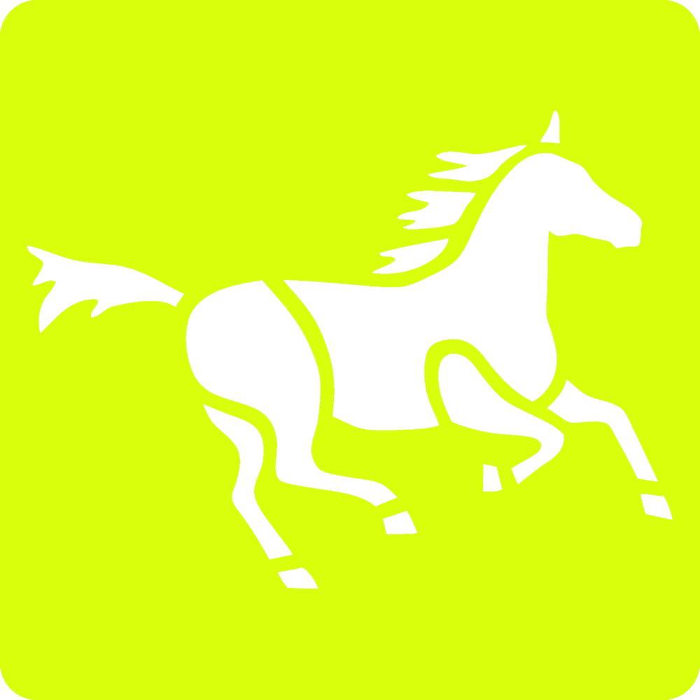 Avenue Mandarine 3x 6-teiliges Schablonenset für Kinder, Pferde - Orange 42644O