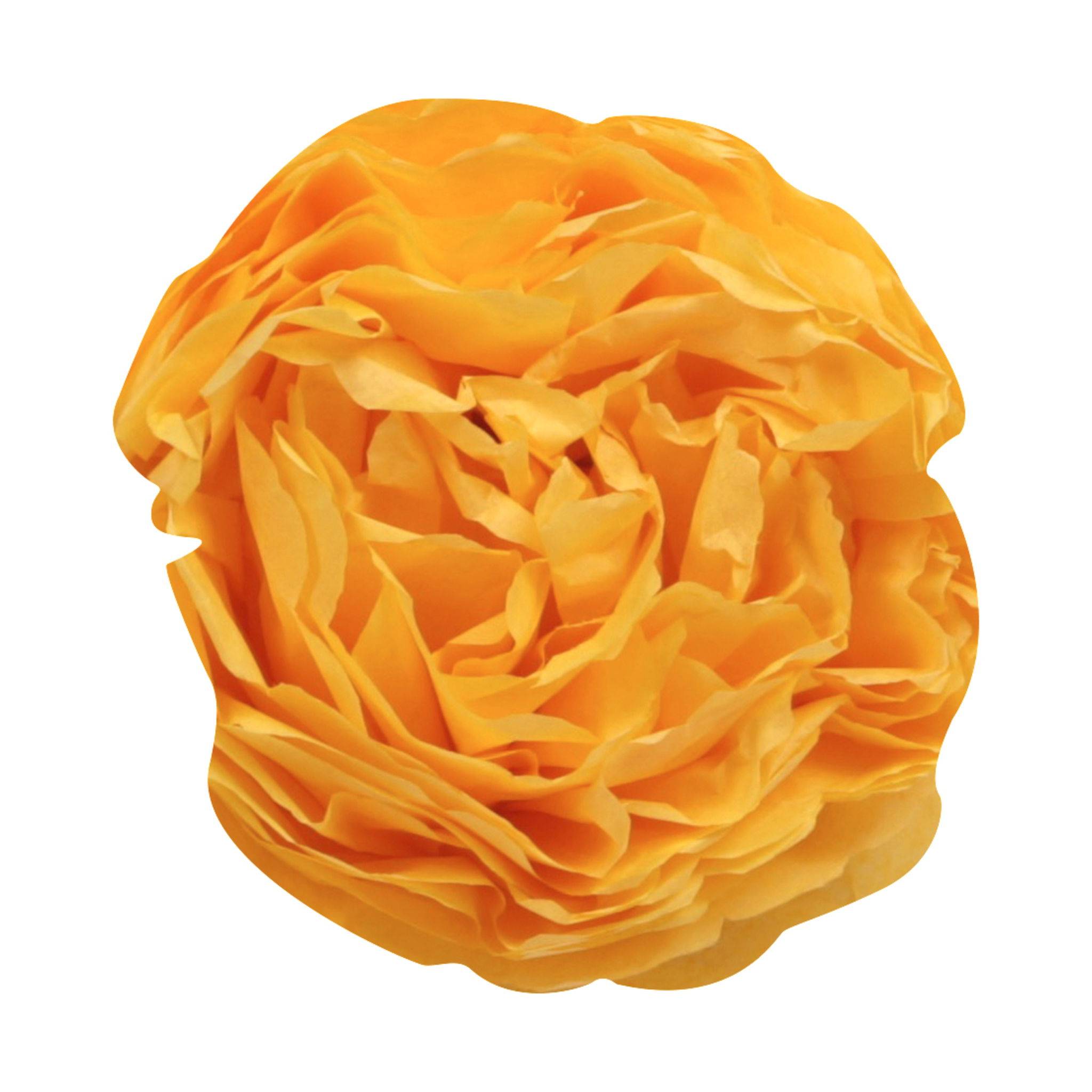 Clairefontaine 5x Seidenpapier Rolle 24 Bogen 18g/m2 50x75cm 394016C