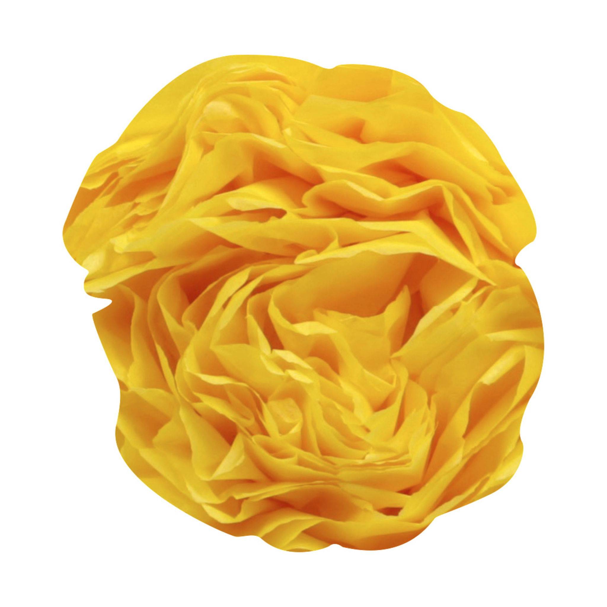 Clairefontaine 5x Seidenpapier Rolle 24 Bogen 50x75cm Zitronengelb 394015C