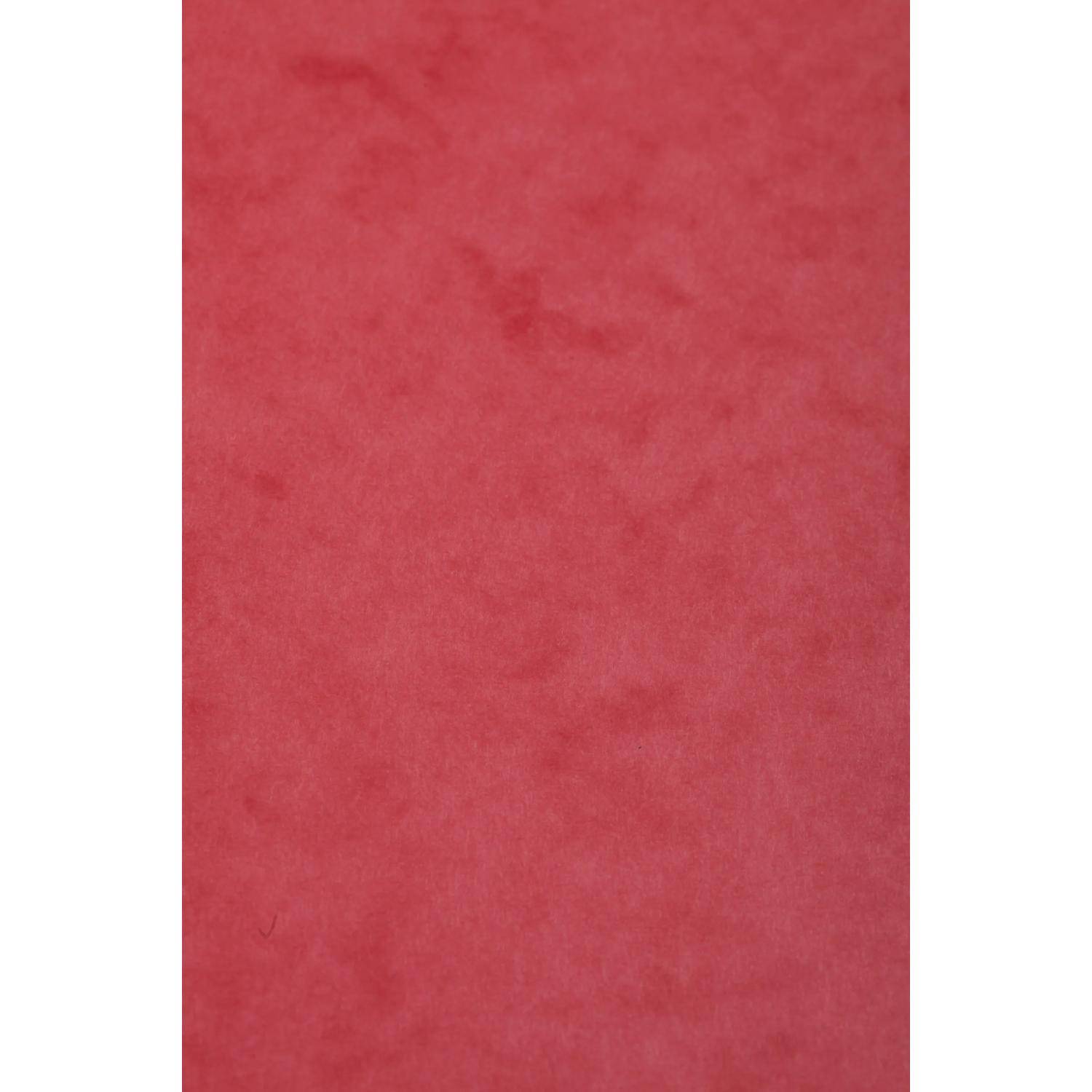 Clairefontaine 50x Europa Karton, Packung mit 50 Blatt A3 256g - Rot 3140Z