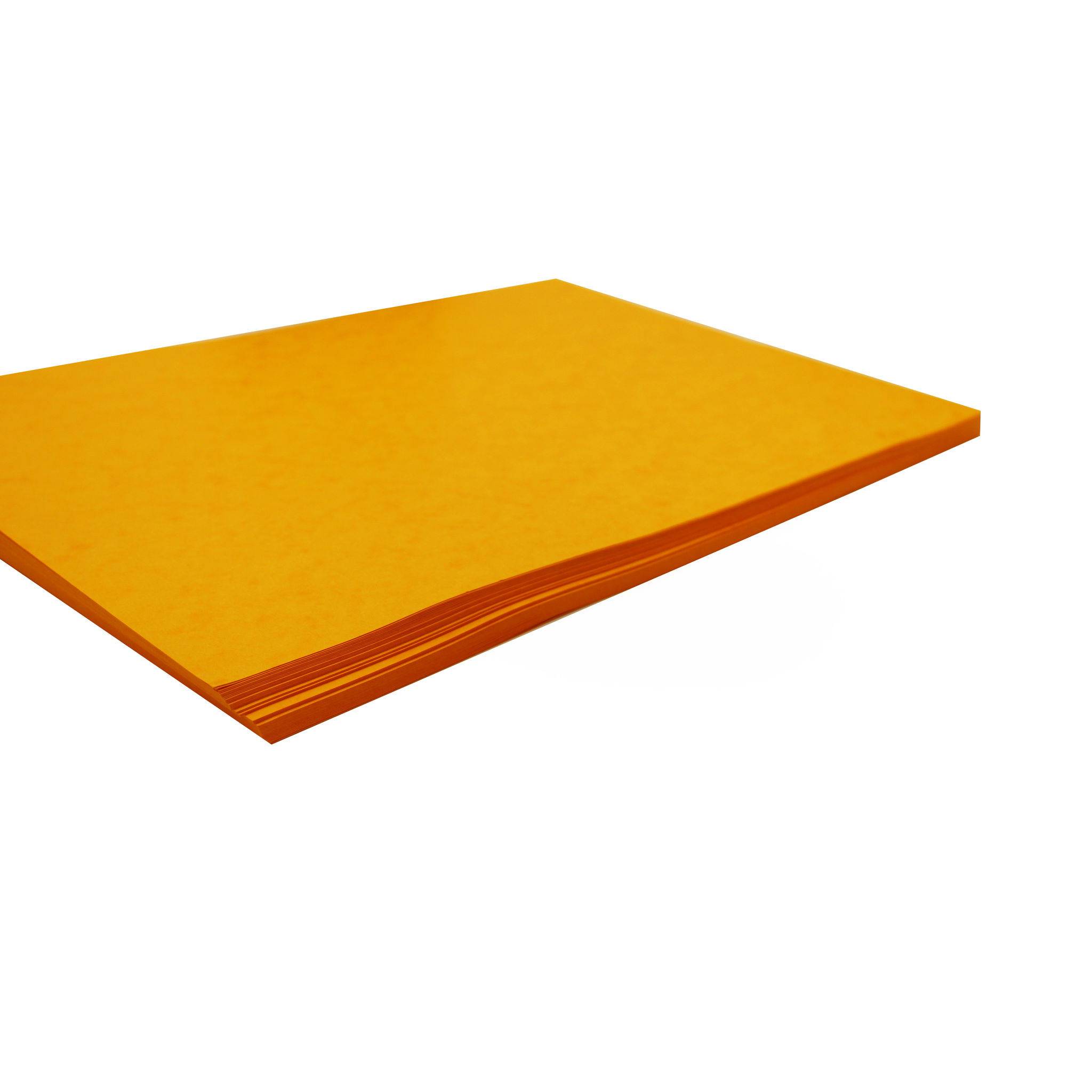 Clairefontaine 50x Europa Karton, Packung mit 50 Blatt A3 256g - Grün 3142Z