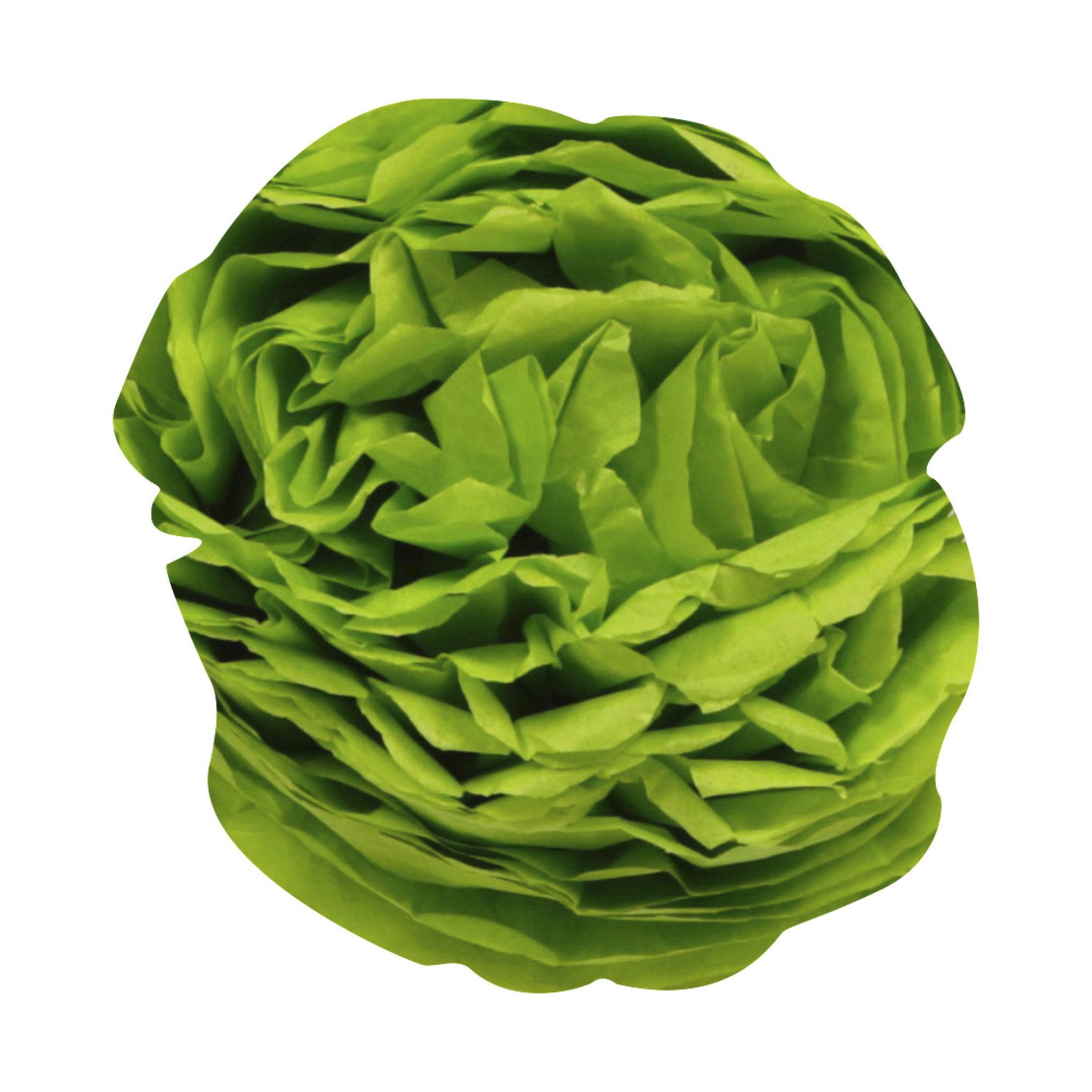 Clairefontaine 5x Seidenpapier Rolle 24 Bogen 18g/m2 50x75cm Apfelgrün 394019C