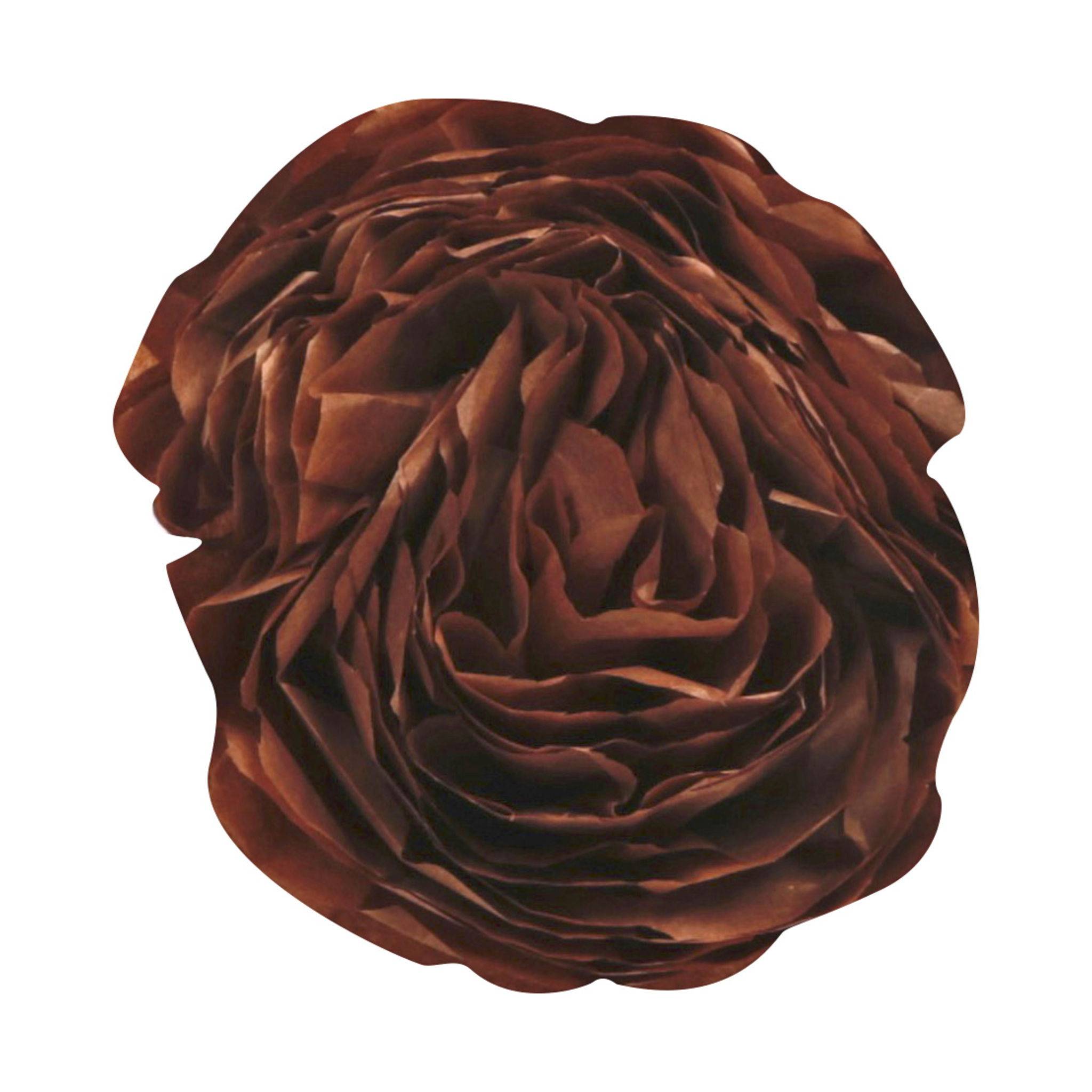 Clairefontaine 10x Seidenpapier, Pack. 8 Bogen 50x75cm Schokoladenbraun 95449C