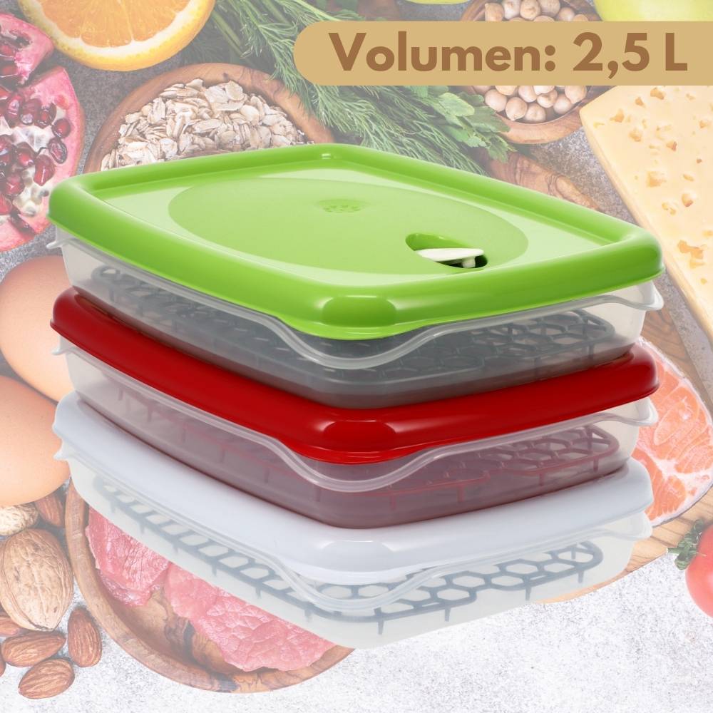 Frischhaltedosen mit Deckel Abtropfgitter Dampfventil Kunststoff Aufbewahrungsdosen Gefrierdosen Vorratsdosen Luftdicht 2,5 L