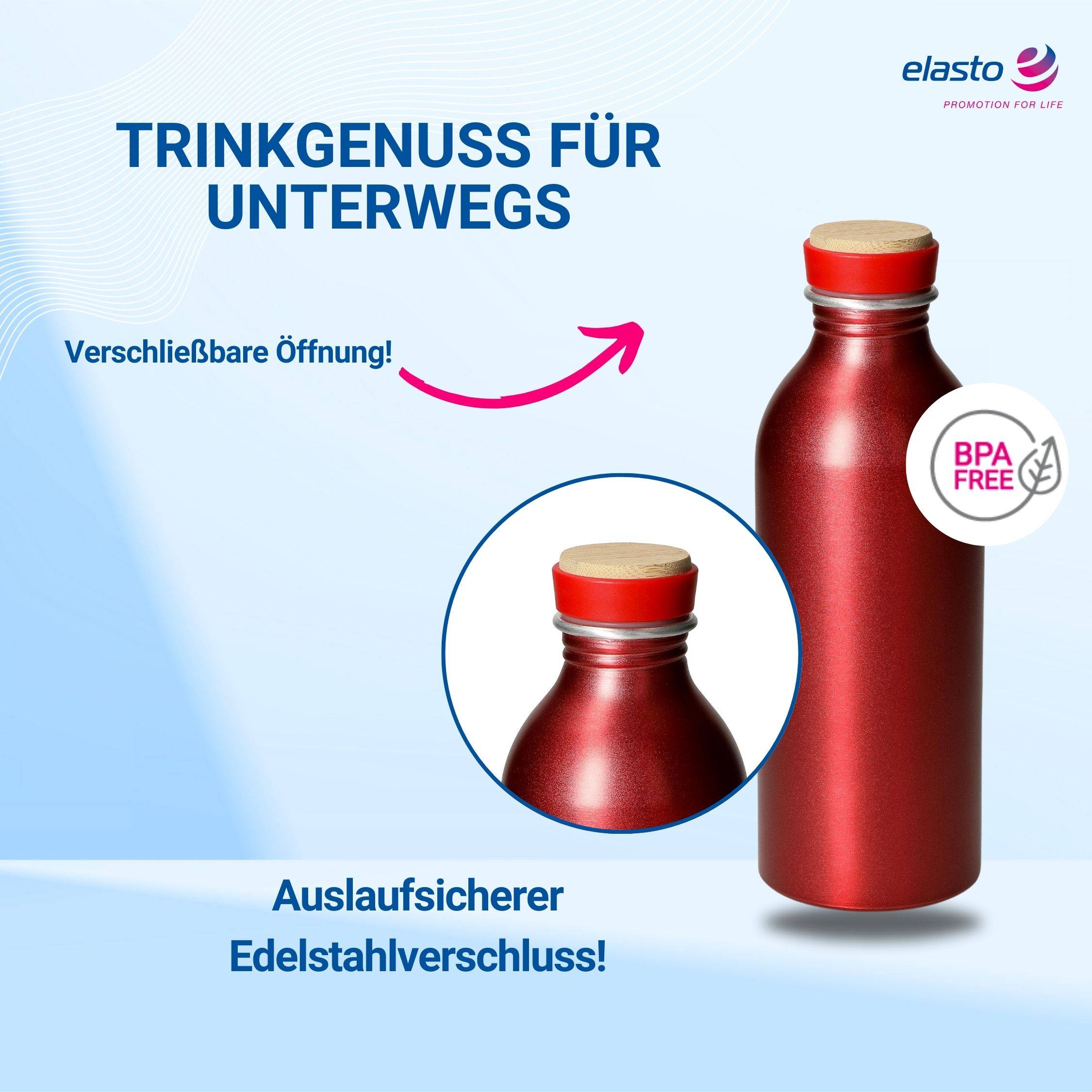 Trinkflasche Kohlensäure geeignet 650 ml auslaufsichere