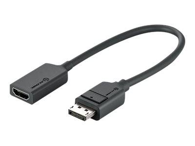 Alogic Elements Series - Videoadapter - DisplayPort männlich zu HDMI weiblich