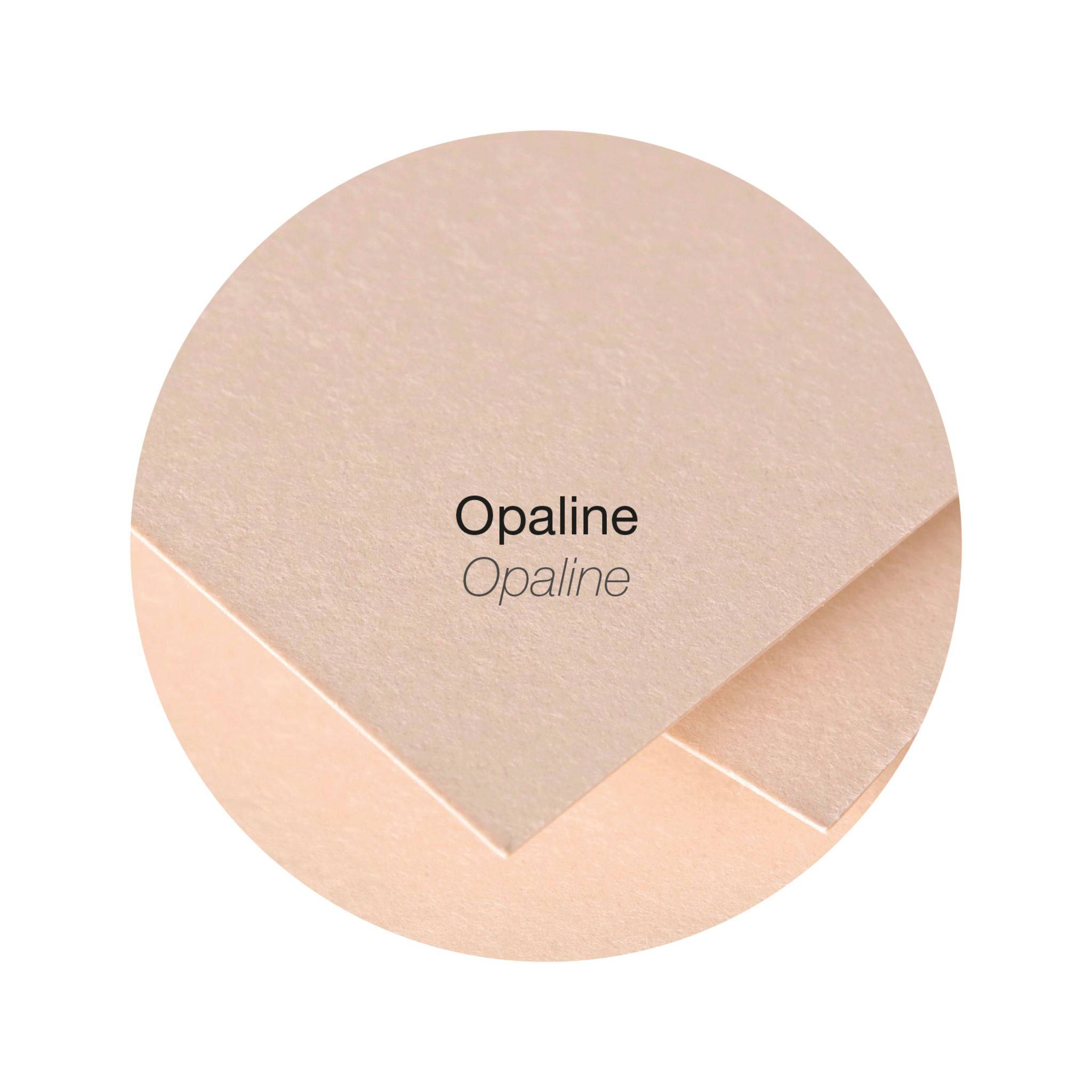 Pollen 10x Pollen, Packung mit 50 Blatt A4 120g - Opaline 4234C
