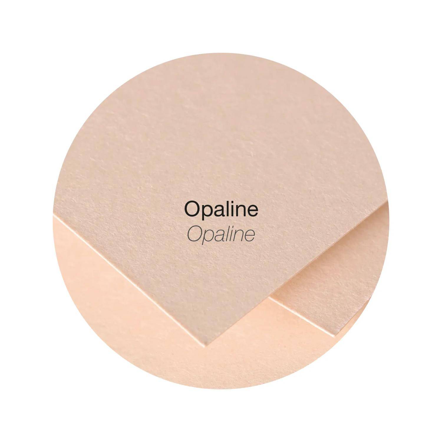 Pollen 10x Pollen, Packung mit 50 Blatt A4 120g - Opaline 4234C