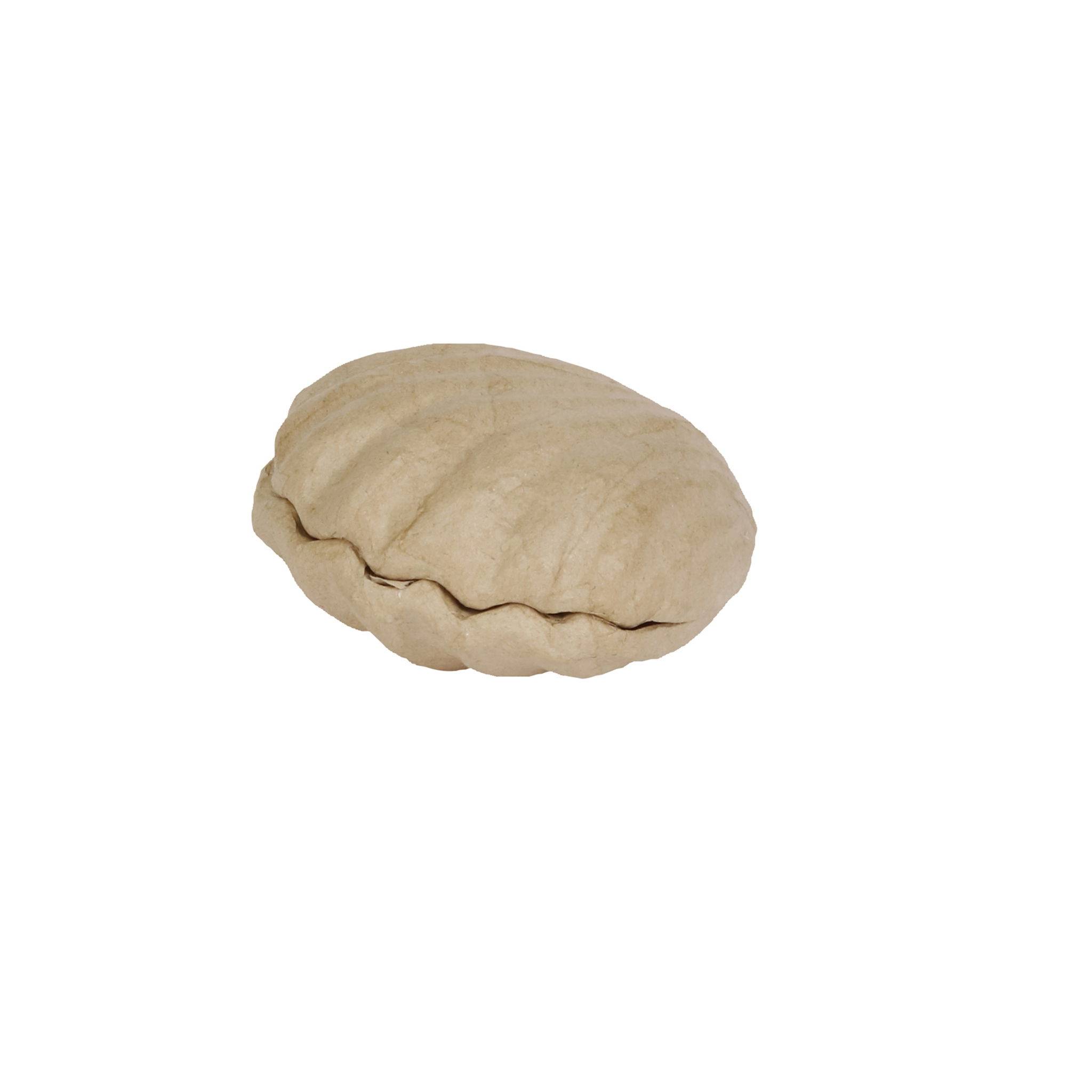 Décopatch 4x Braunes Pappmaché, Muschelbox 12x12x5cm - Kartonbraun BT078C