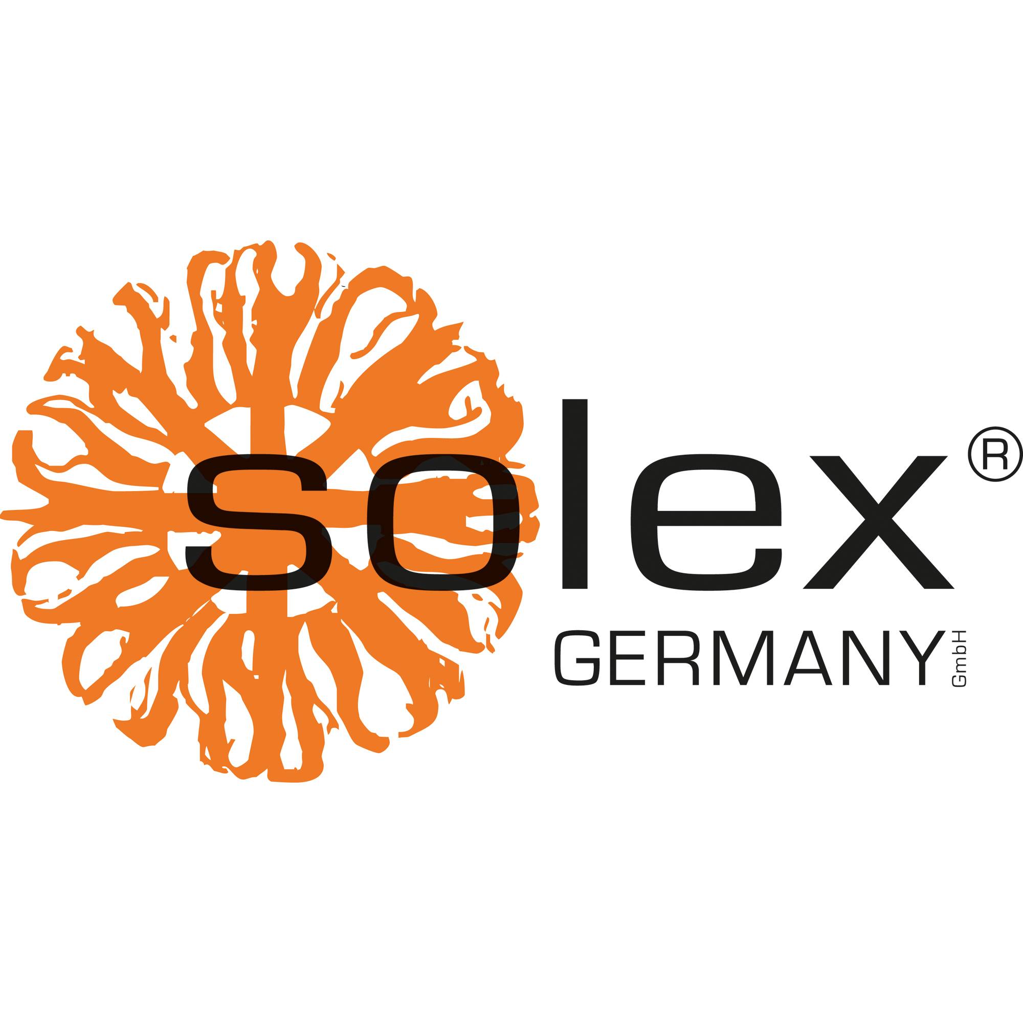 solex Menülöffel TM 80 100901 si 12St