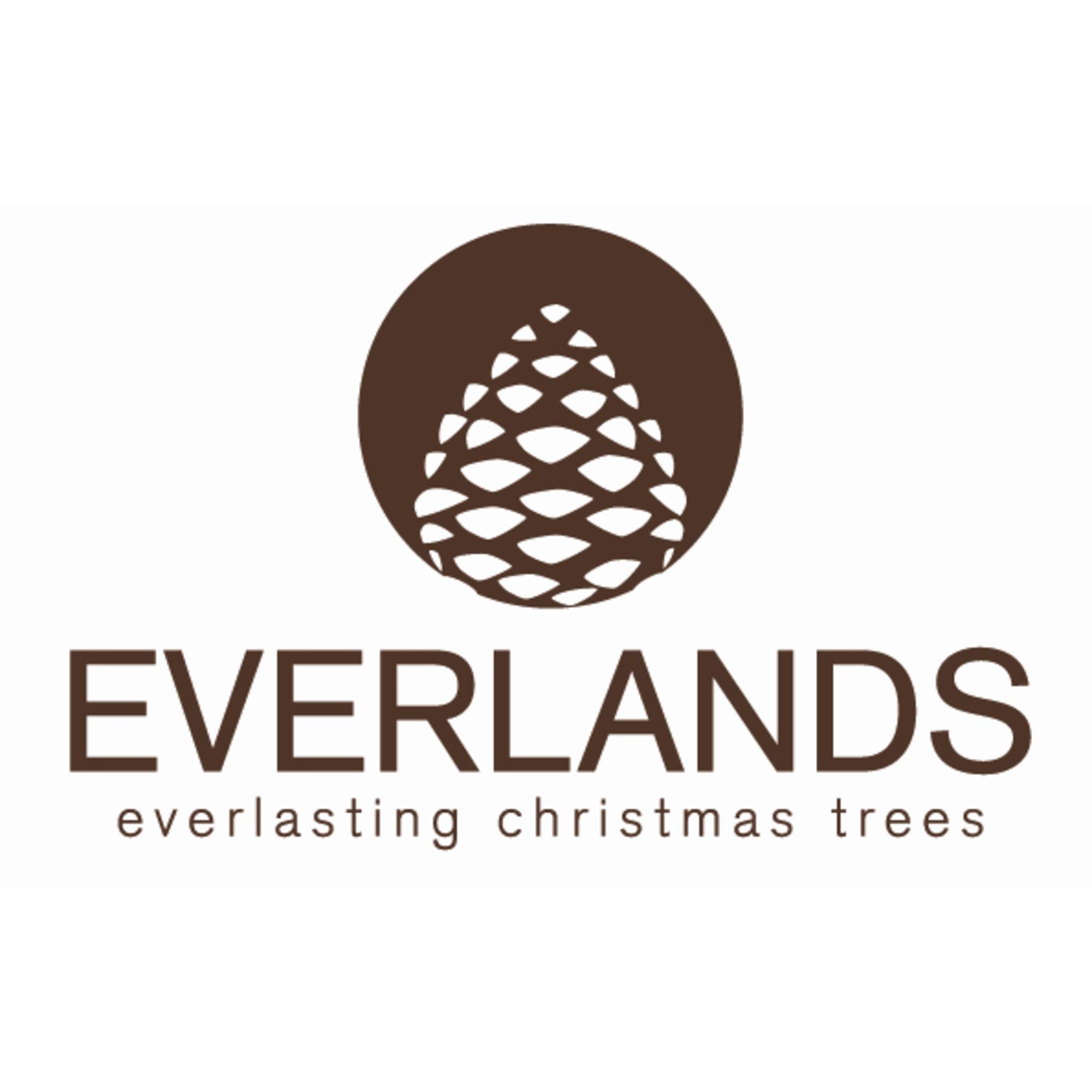 EVERLANDS Weihnachtsbaum Grandis Tanne 681451 180cm