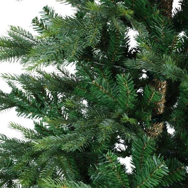 Weihnachtsbaum Grandis 300cm Tanne mit weichen Nadeln grün
