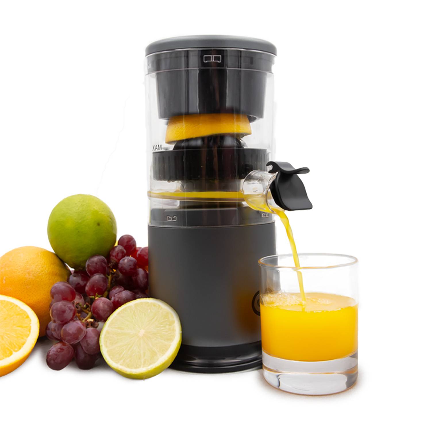 Livington JuiceBoost - Akku Entsafter klein - kabellose Saftpresse für unterwegs - Slow Juicer aus Obst & Gemüse - Obstpresse - USB aufladbar - idea
