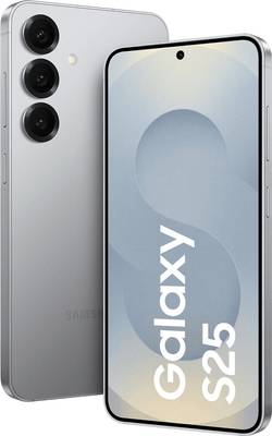 Samsung Galaxy S25 (S931B) 512GB Silver Shadow