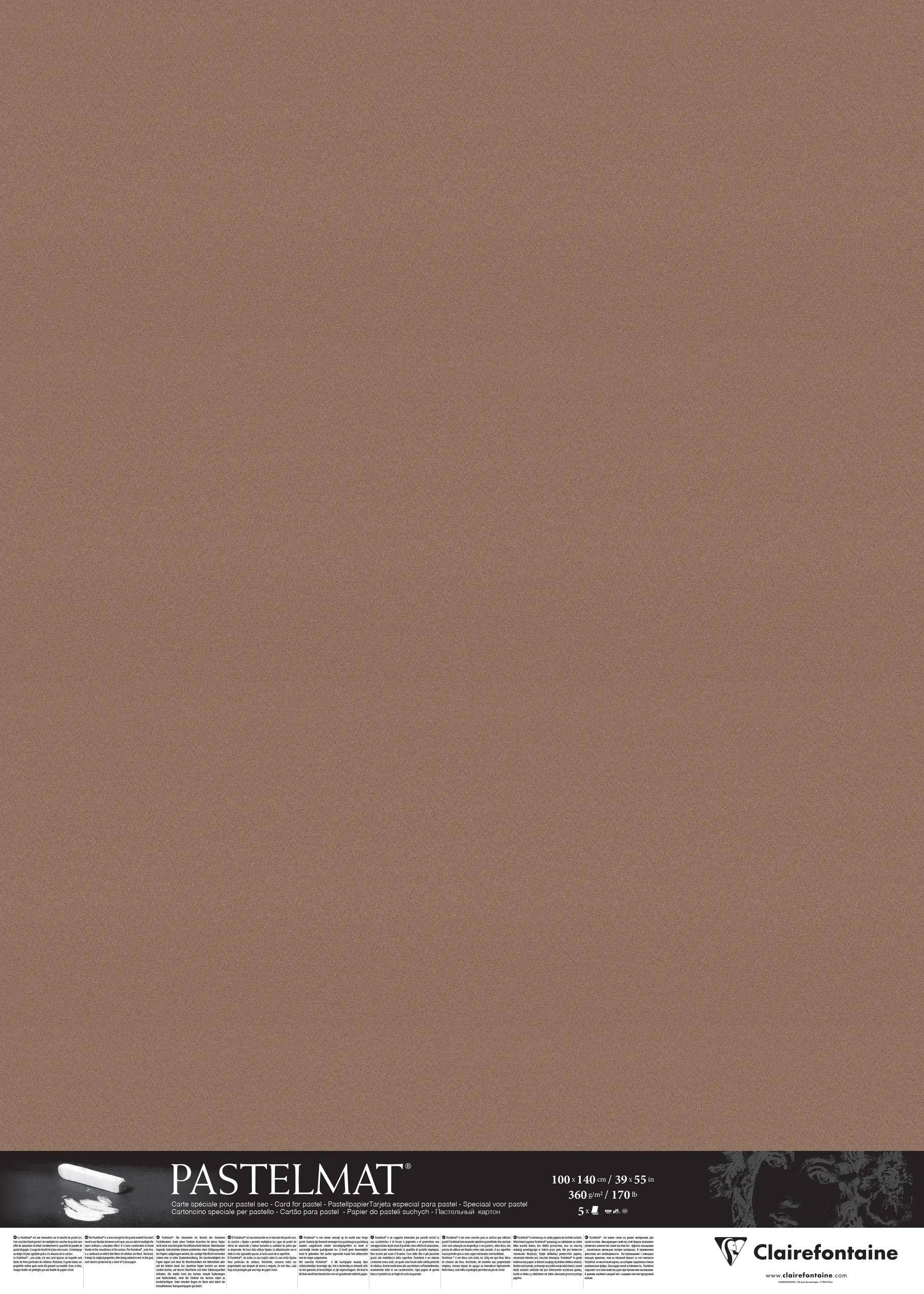 Clairefontaine Pastelmat Pastellmalerei, 5 Bogen 100x140 cm, 360g Braun 396168C
