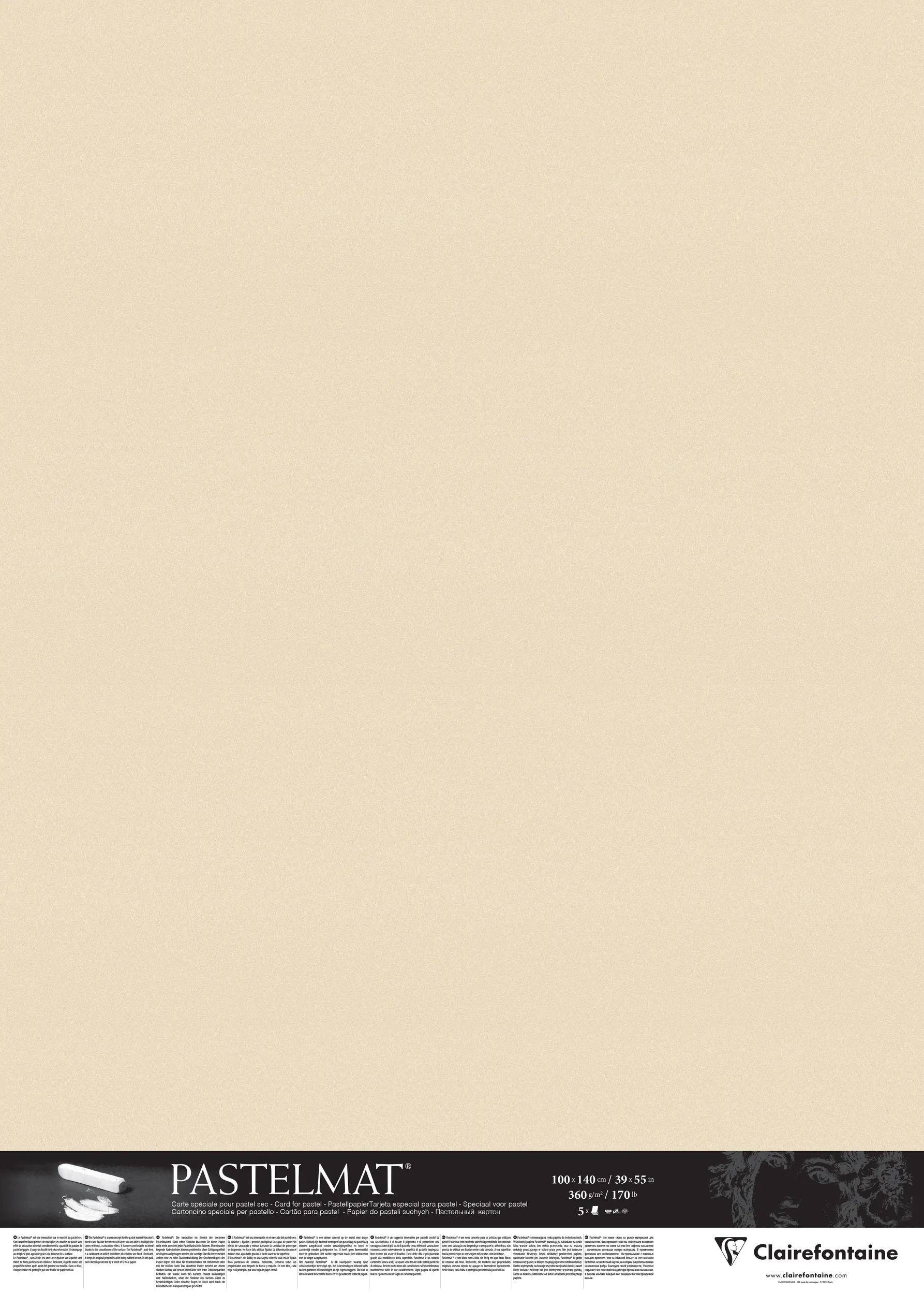 Clairefontaine Papier für Pastellmalerei, 5 Bogen 100x140 cm, Maisfarben 396166C