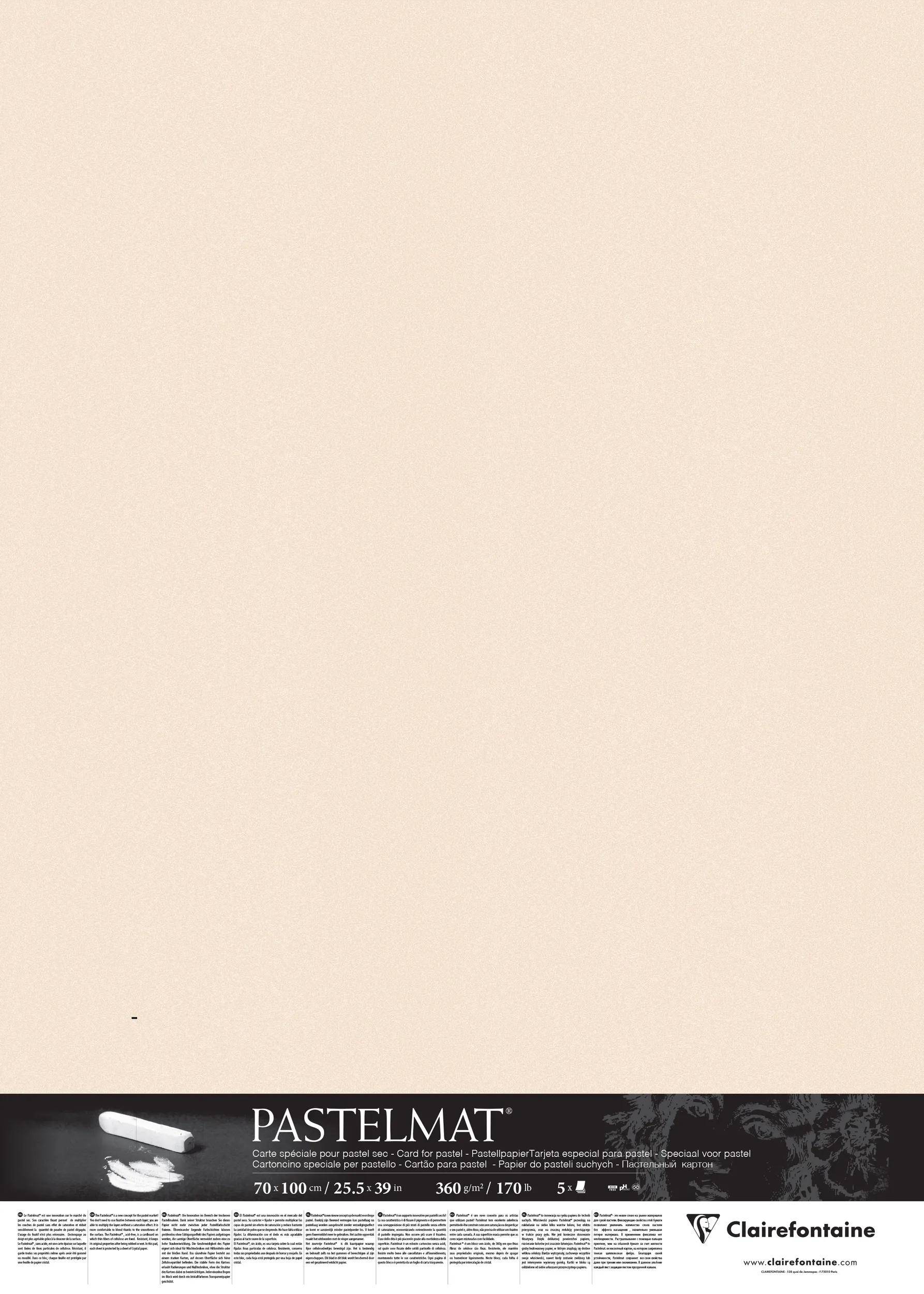 Clairefontaine Pastelmat Pastellmalerei, 5 Bogen 70x100 cm, 360g Beige 296057C