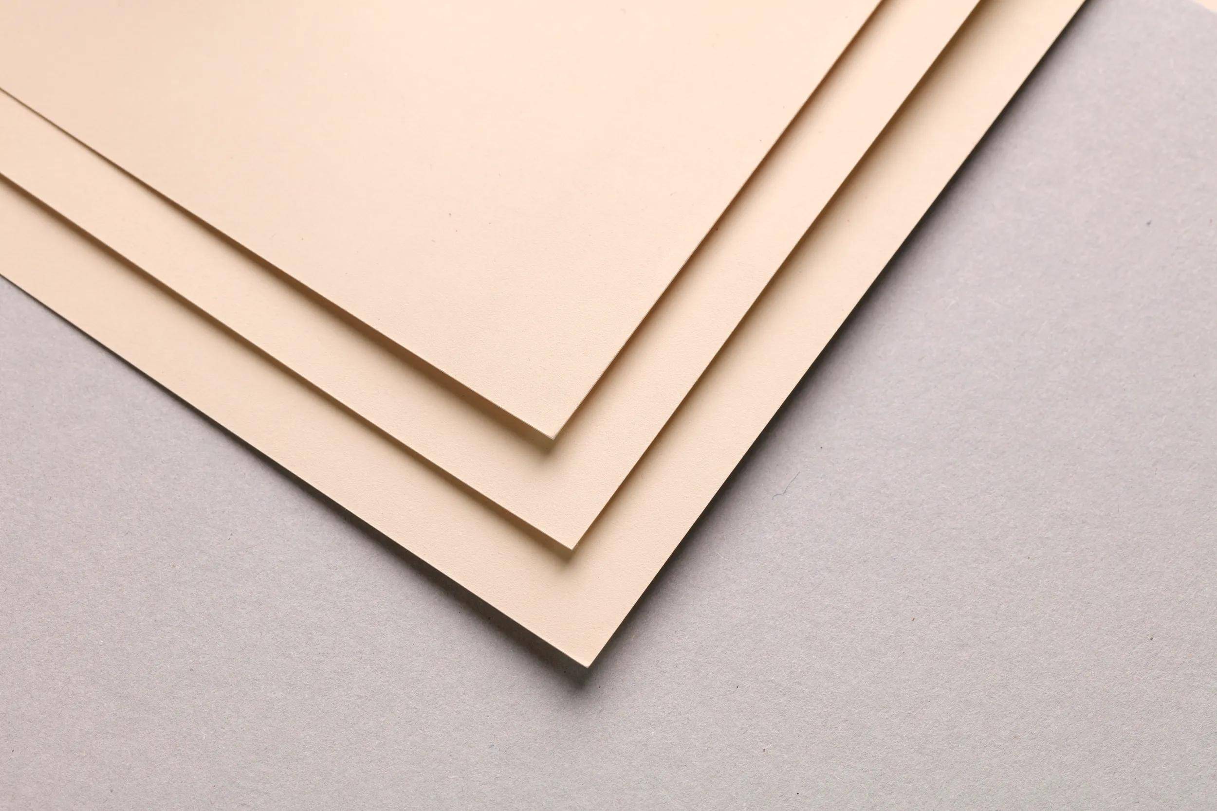 Clairefontaine Pastelmat Pastellmalerei, 5 Bogen 70x100 cm, 360g Beige 296057C