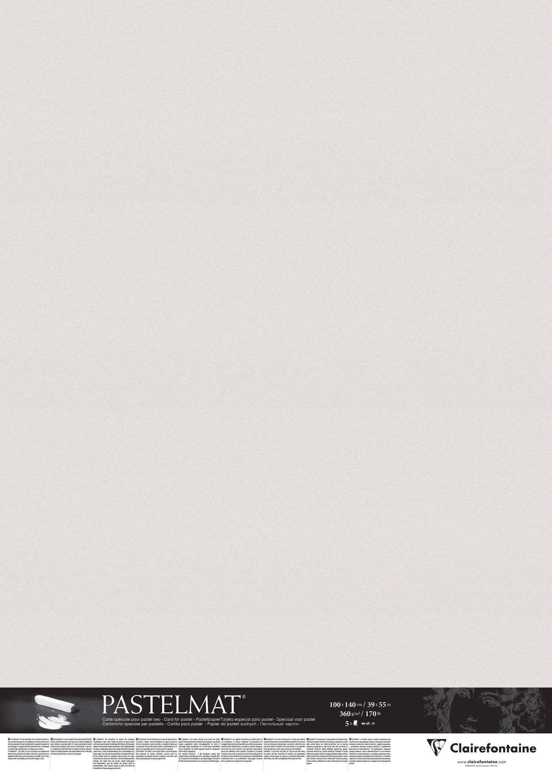 Clairefontaine Papier für Pastellmalerei, 5 Bogen 100x140 cm, Hellgrau 396165C