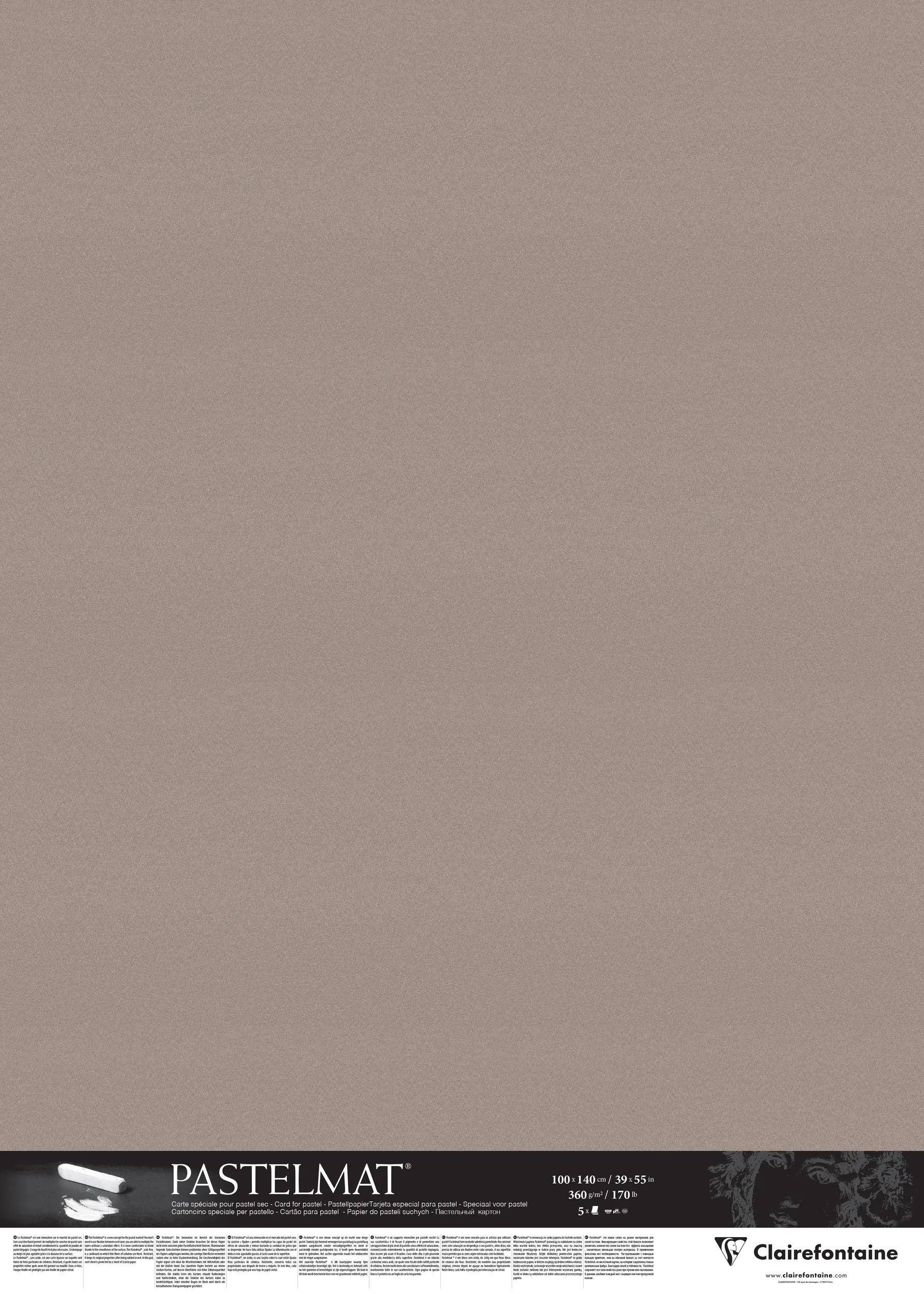 Clairefontaine Papier für Pastellmalerei, 5 Bogen 100x140 cm Dunkelgrau 396151C