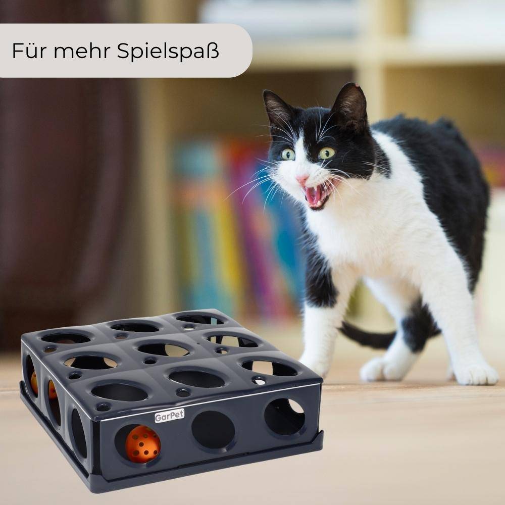 Katzenspielzeug Intelligenzspielzeug Katze interaktiv Selbstbeschäftigung Ball Intelligenz Spielzeug Activity