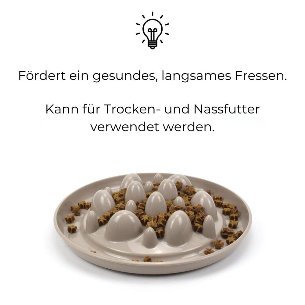 Anti Schling Napf Fressnapf langsam fressen gegen schlingen Antischlingnapf Hunde Katzen langsame Fütterung