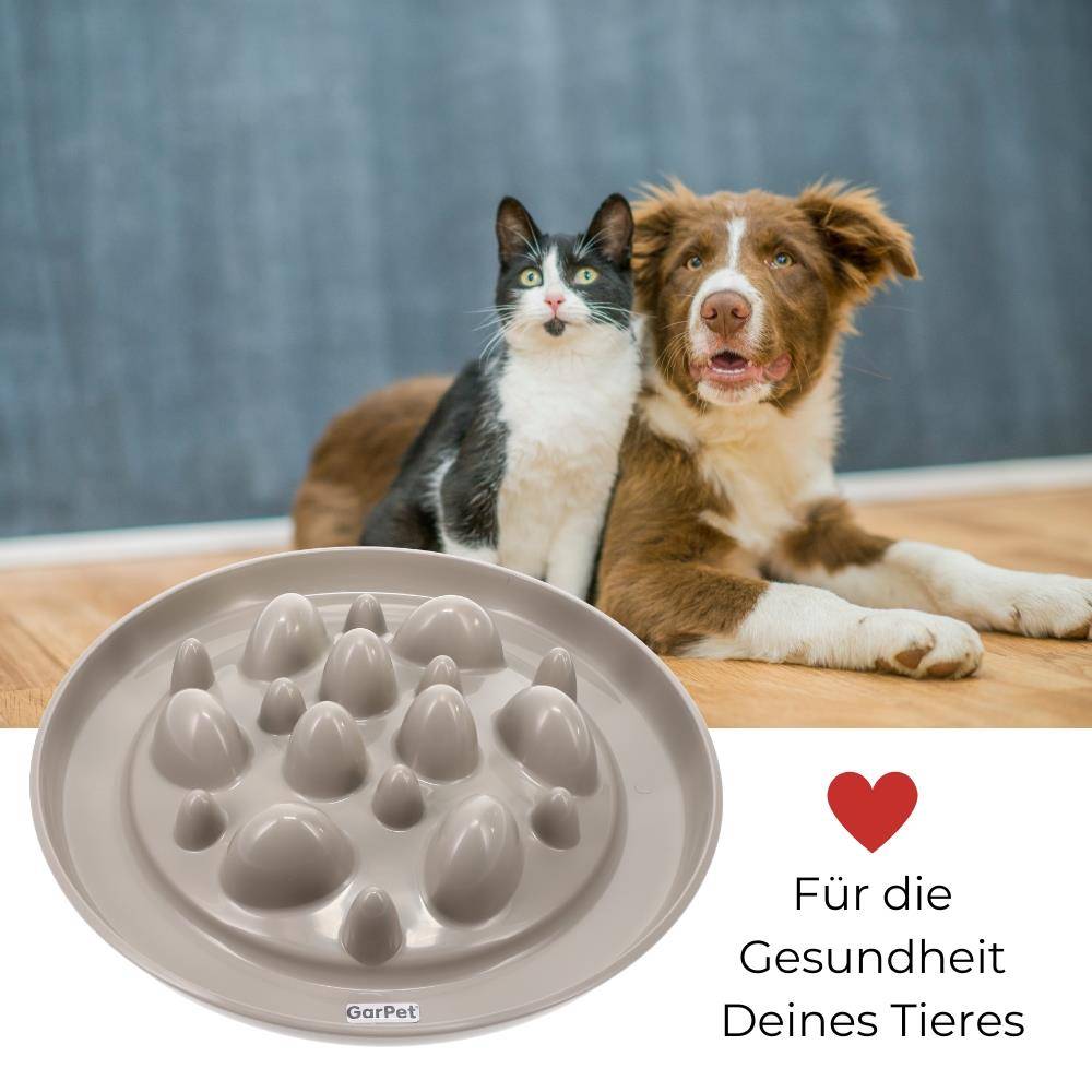 Anti Schling Napf Fressnapf langsam fressen gegen schlingen Antischlingnapf Hunde Katzen langsame Fütterung