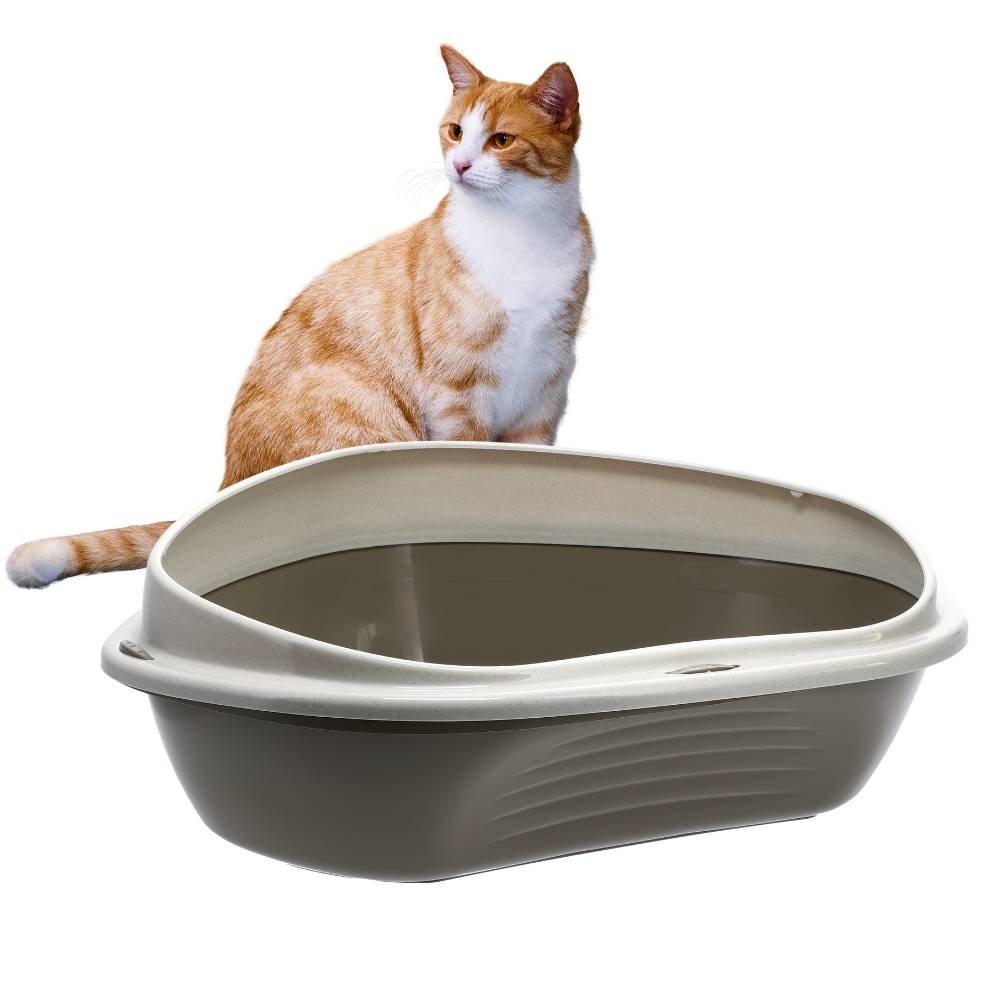 GarPet Katzenklo Ecke Eck Katzentoilette mit Rand ohne Deckel offen grau Katzen WC Ecktoilette